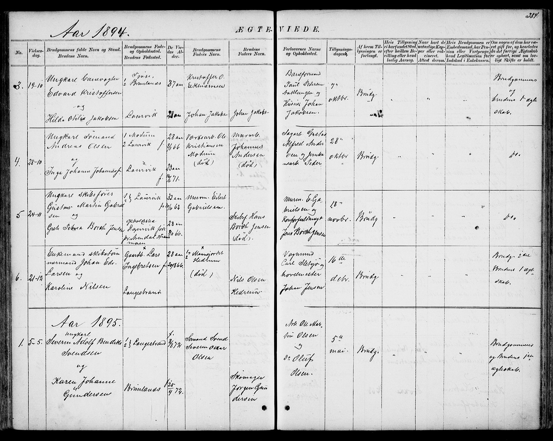 Larvik kirkebøker, AV/SAKO-A-352/G/Gb/L0003: Parish register (copy) no. II 3, 1867-1899, p. 384