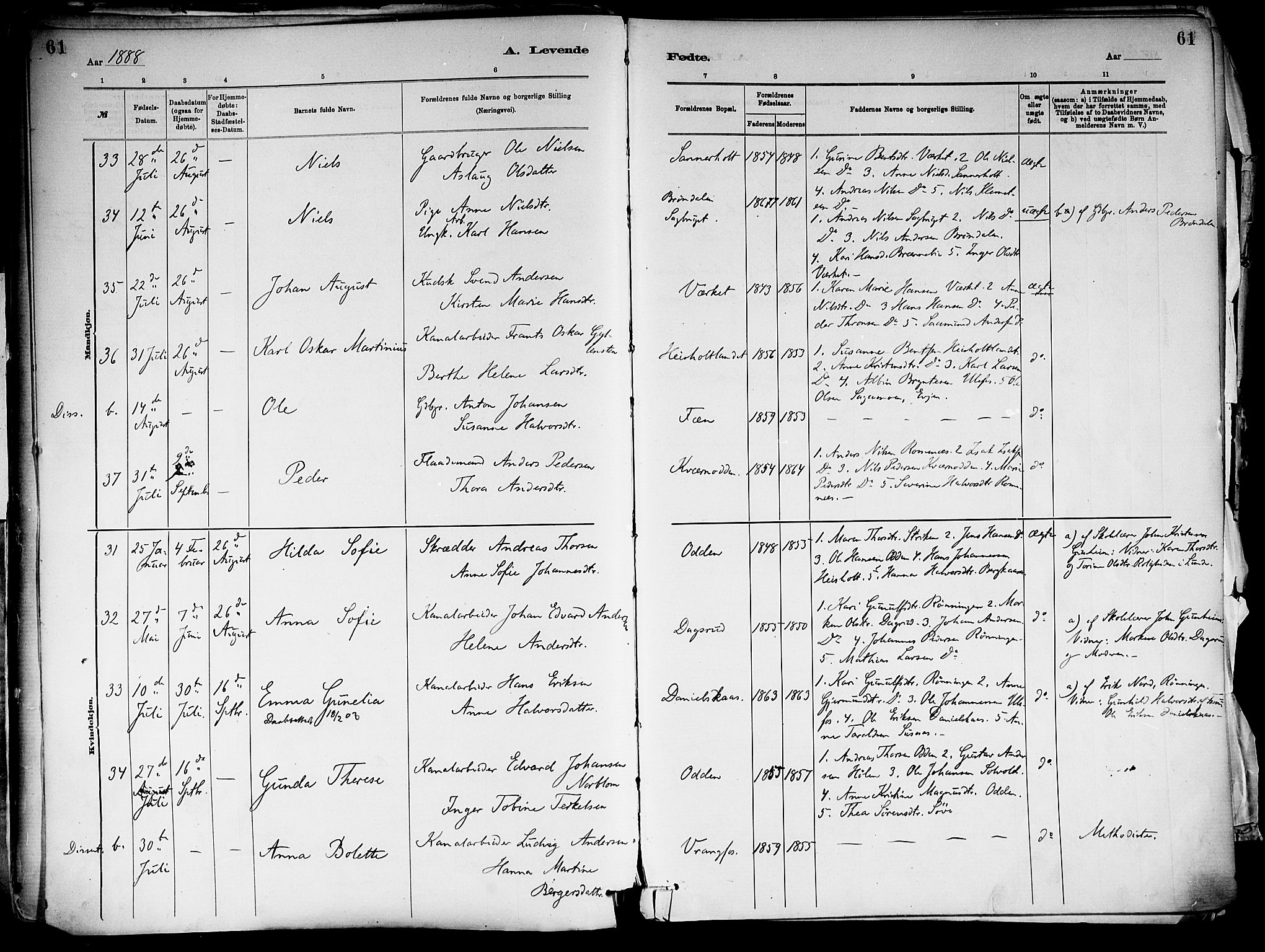 Holla kirkebøker, AV/SAKO-A-272/F/Fa/L0008: Parish register (official) no. 8, 1882-1897, p. 61