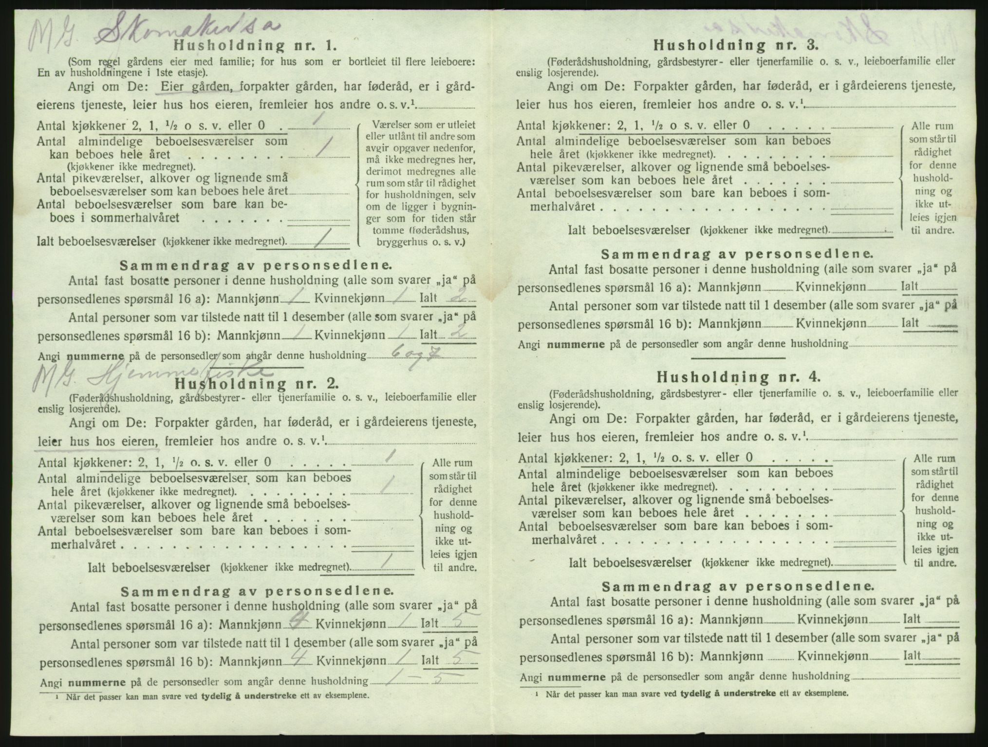 SAKO, 1920 census for Brunlanes, 1920, p. 1496