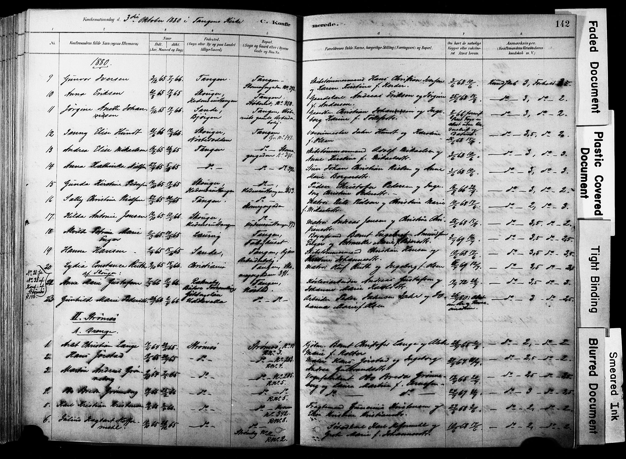 Strømsø kirkebøker, AV/SAKO-A-246/F/Fb/L0006: Parish register (official) no. II 6, 1879-1910, p. 142