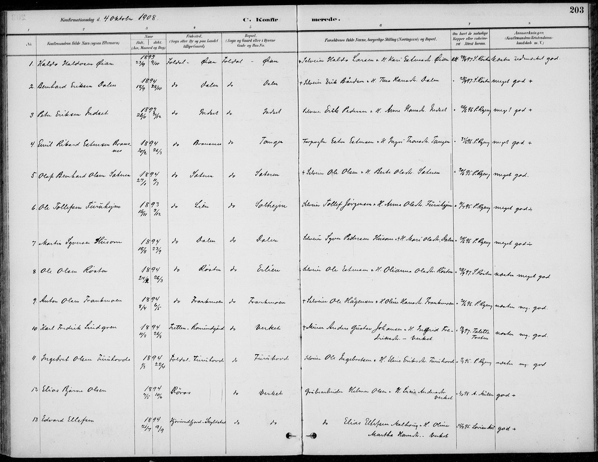 Alvdal prestekontor, SAH/PREST-060/H/Ha/Haa/L0003: Parish register (official) no. 3, 1886-1912, p. 203