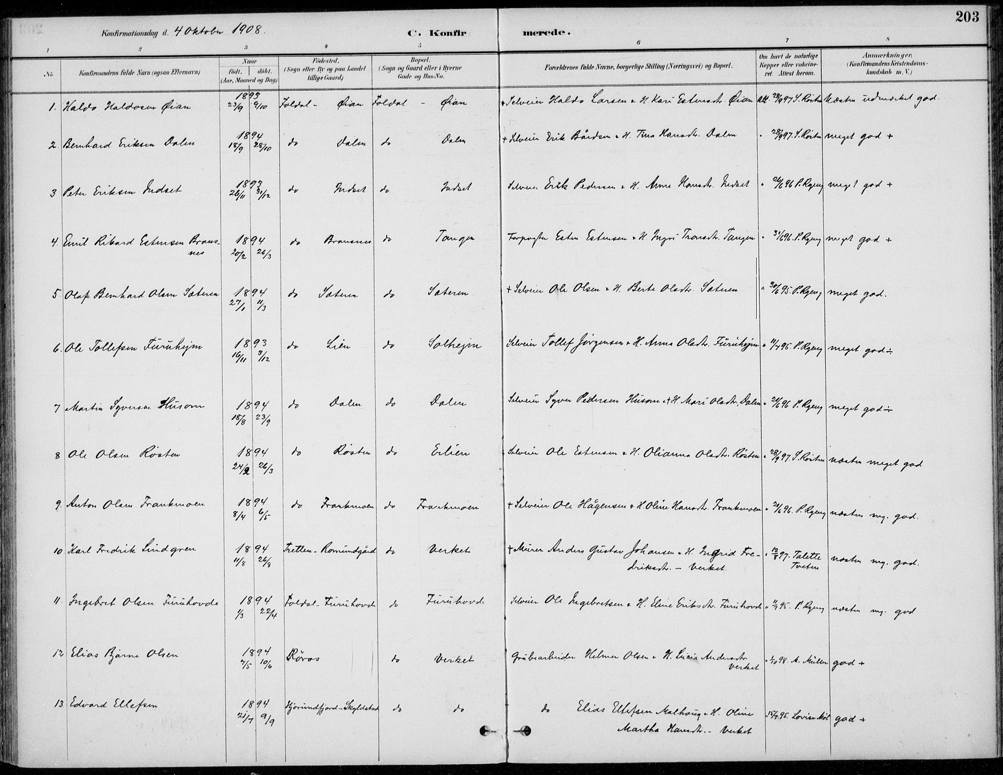 Alvdal prestekontor, AV/SAH-PREST-060/H/Ha/Haa/L0003: Parish register (official) no. 3, 1886-1912, p. 203