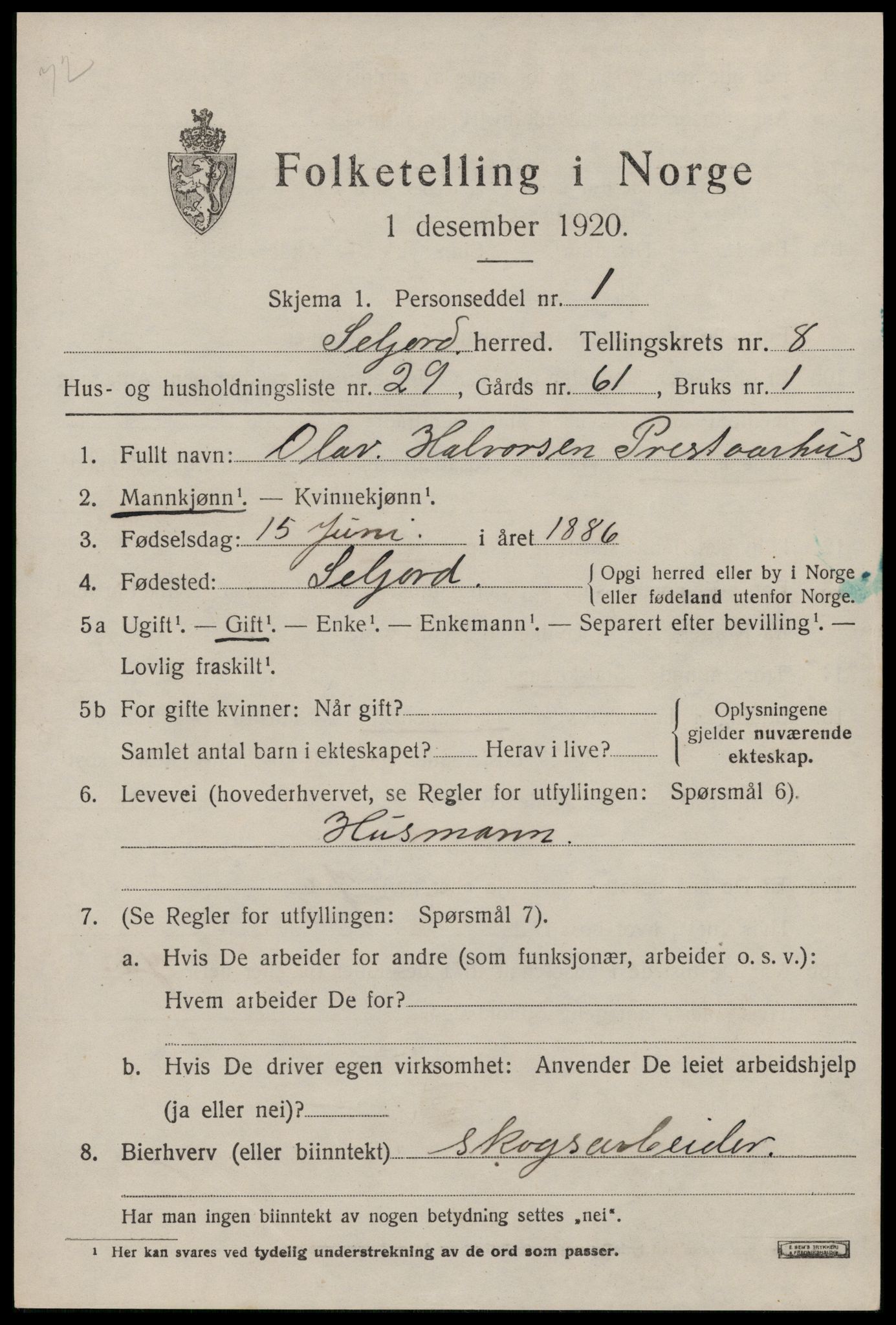 SAKO, 1920 census for Seljord, 1920, p. 4196