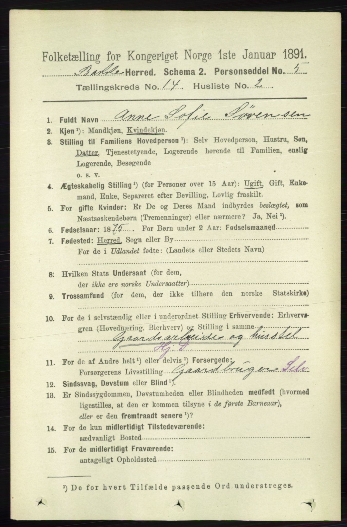 RA, 1891 census for 1045 Bakke, 1891, p. 2917