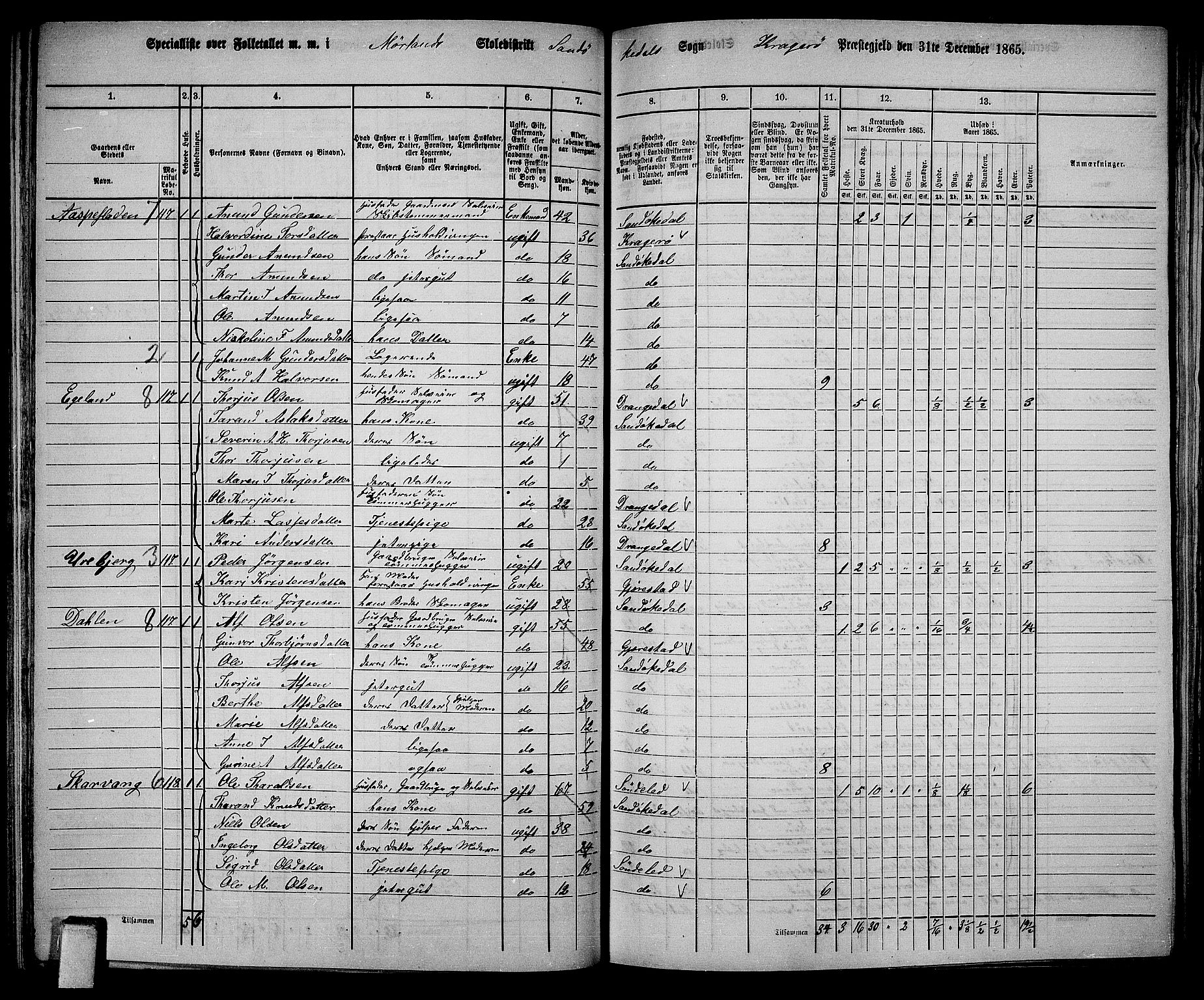 RA, 1865 census for Kragerø/Sannidal og Skåtøy, 1865, p. 72