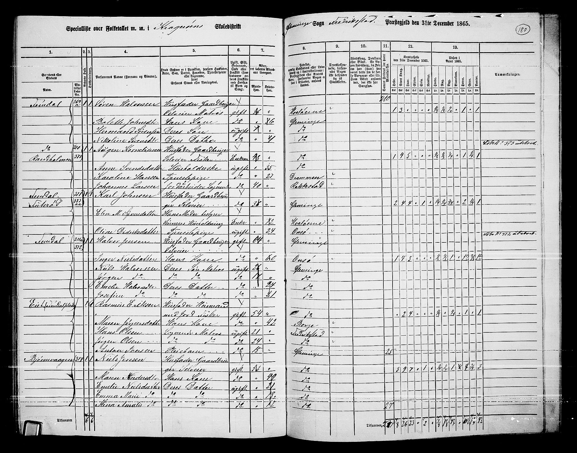 RA, 1865 census for Fredrikstad/Glemmen, 1865, p. 169