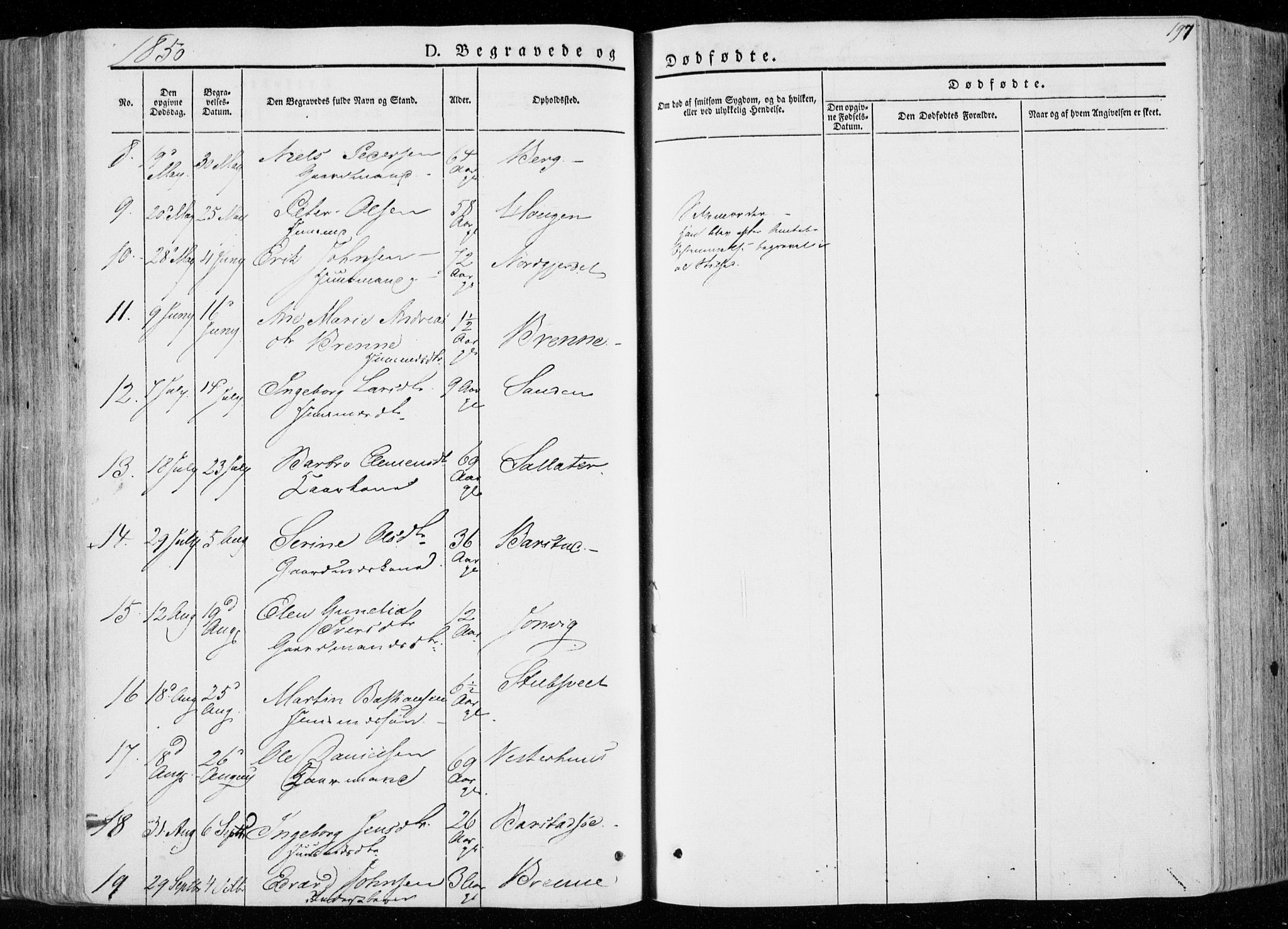 Ministerialprotokoller, klokkerbøker og fødselsregistre - Nord-Trøndelag, AV/SAT-A-1458/722/L0218: Parish register (official) no. 722A05, 1843-1868, p. 197