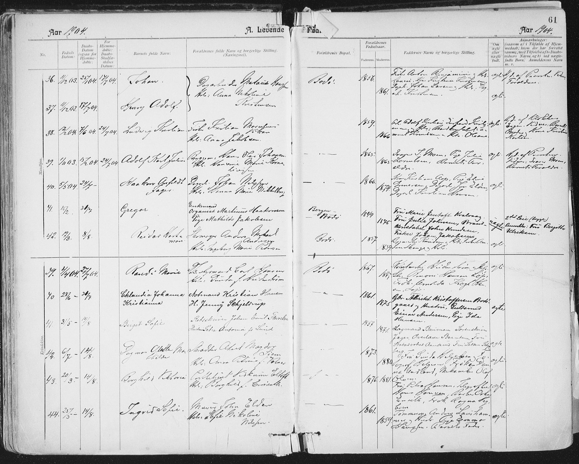 Ministerialprotokoller, klokkerbøker og fødselsregistre - Nordland, AV/SAT-A-1459/801/L0011: Parish register (official) no. 801A11, 1900-1916, p. 61