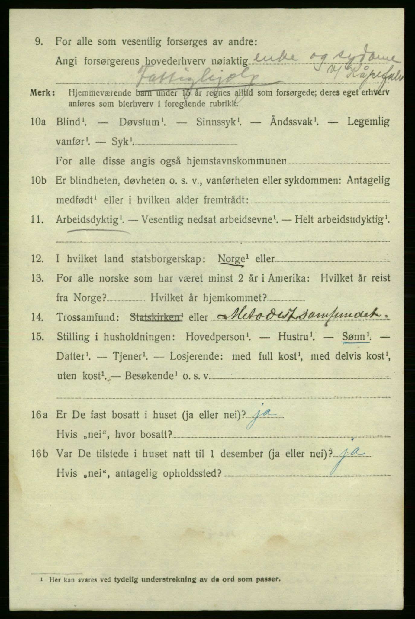 SAO, 1920 census for Fredrikshald, 1920, p. 20412