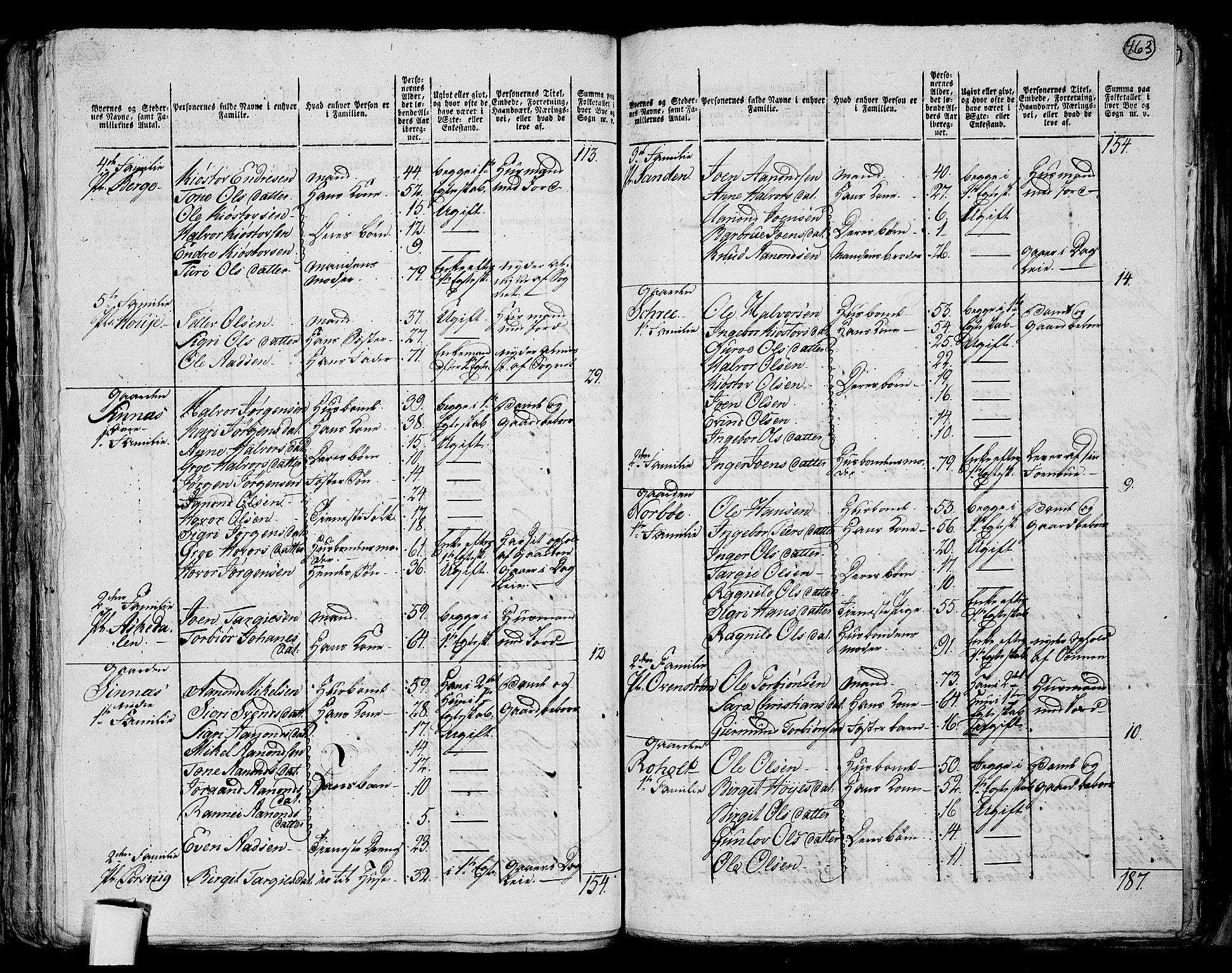 RA, 1801 census for 0829P Kviteseid, 1801, p. 462b-463a