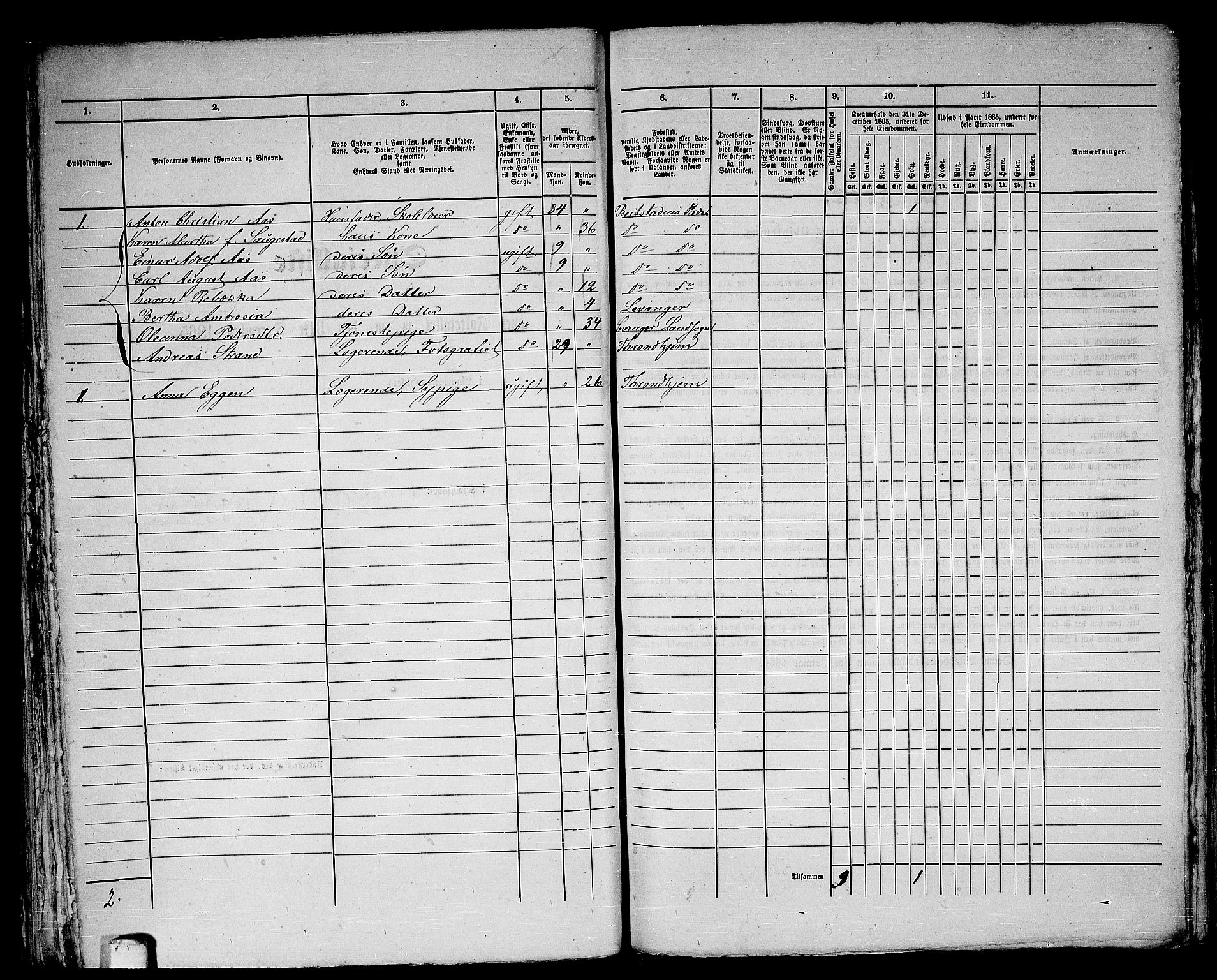RA, 1865 census for Levanger/Levanger, 1865, p. 160