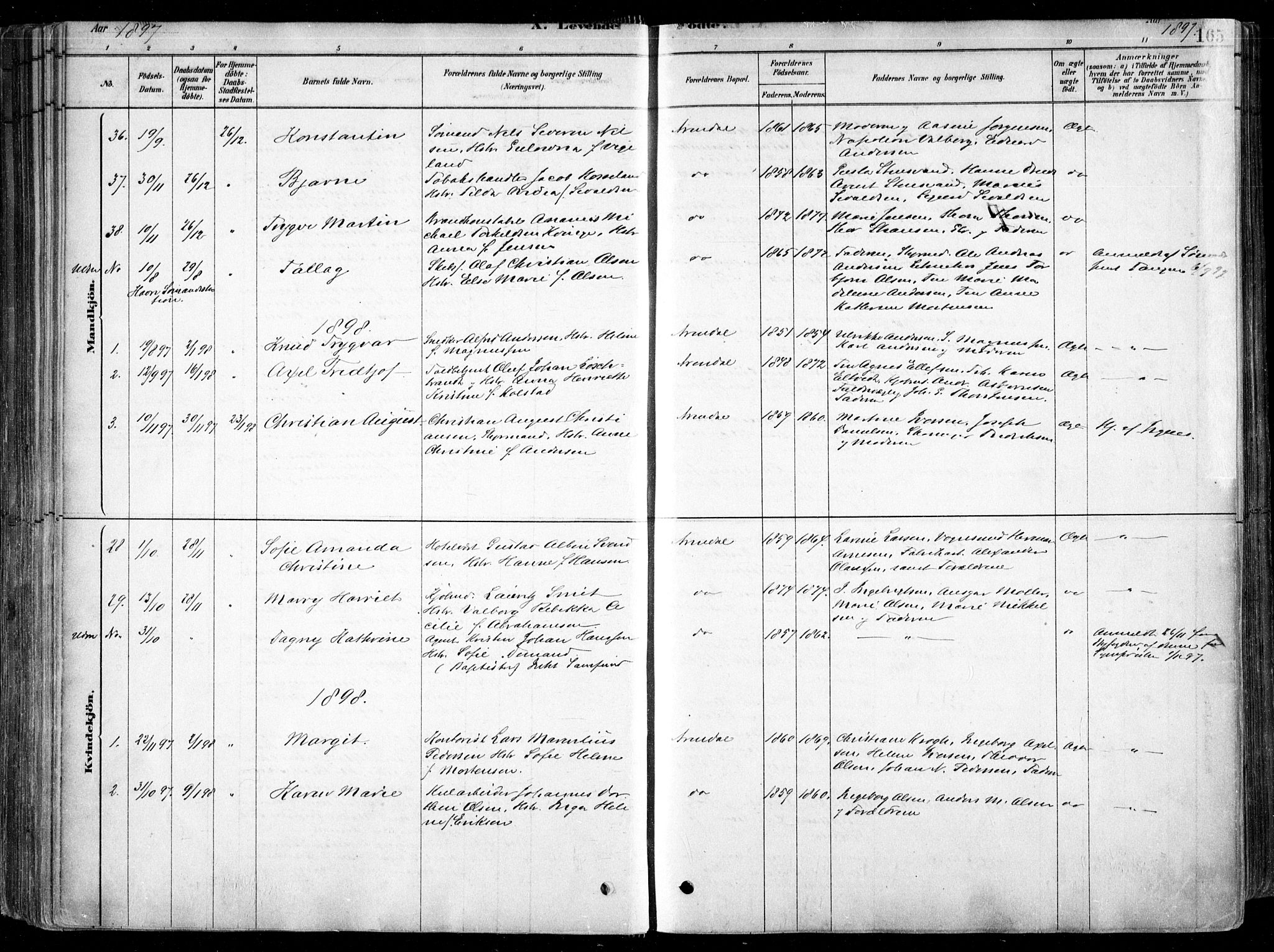 Arendal sokneprestkontor, Trefoldighet, SAK/1111-0040/F/Fa/L0008: Parish register (official) no. A 8, 1878-1899, p. 165