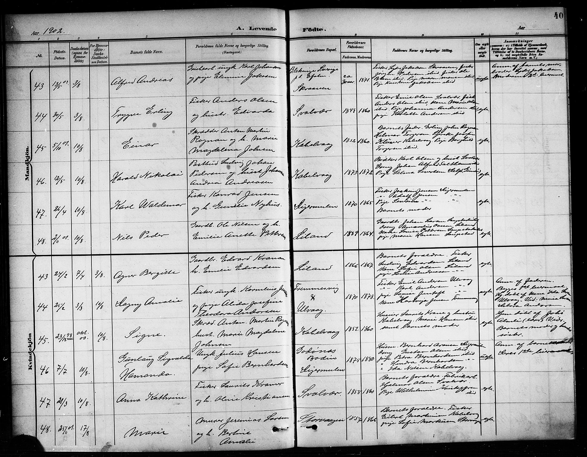 Ministerialprotokoller, klokkerbøker og fødselsregistre - Nordland, AV/SAT-A-1459/874/L1078: Parish register (copy) no. 874C07, 1900-1907, p. 40