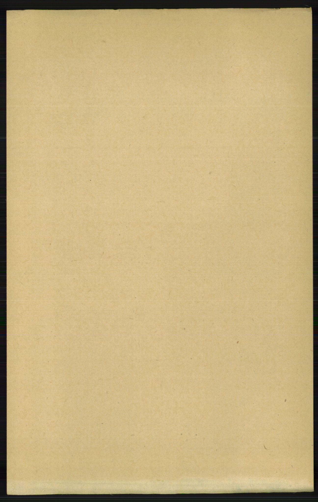 RA, 1891 census for 1020 Holum, 1891, p. 1234