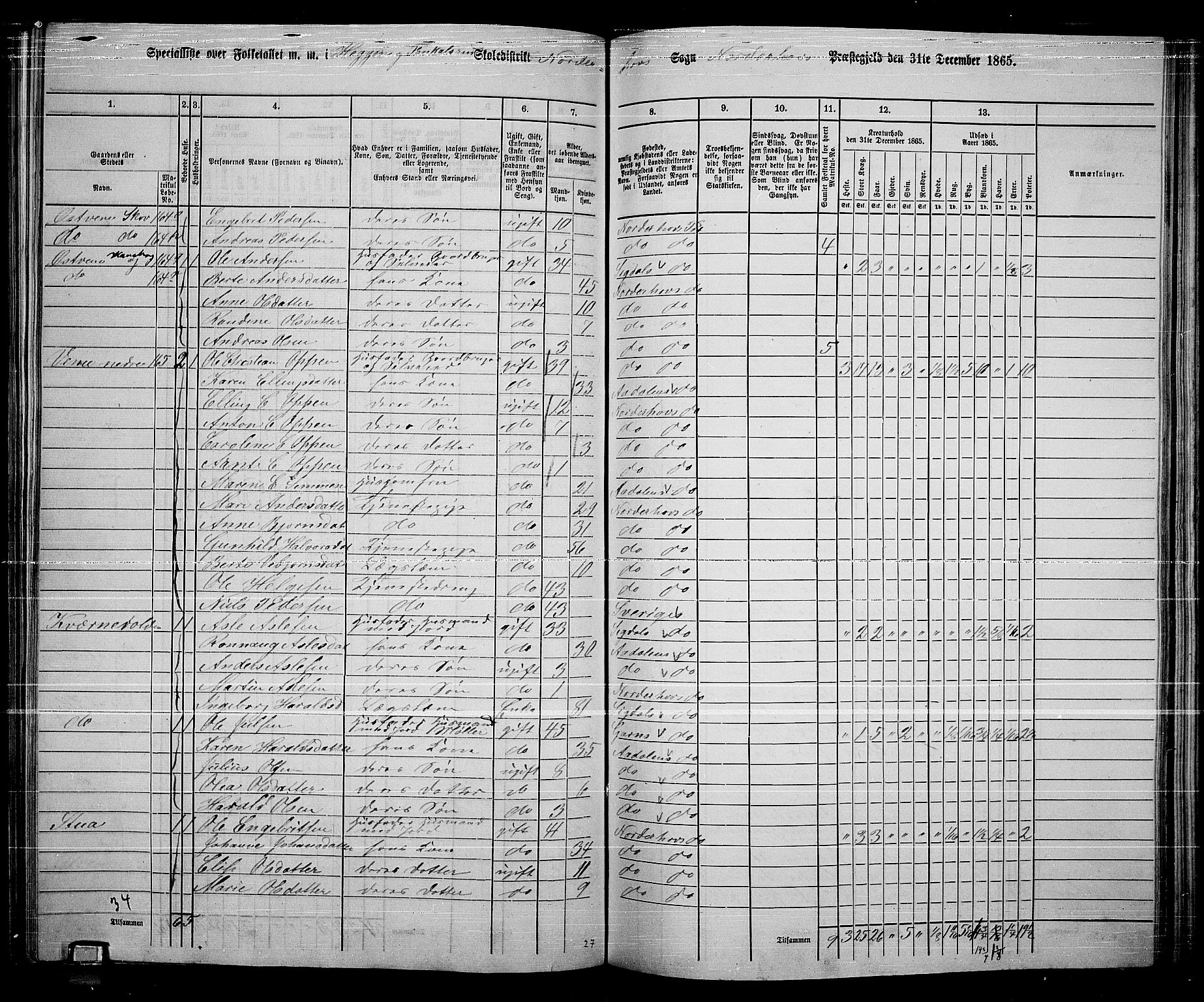 RA, 1865 census for Norderhov/Norderhov, Haug og Lunder, 1865, p. 193