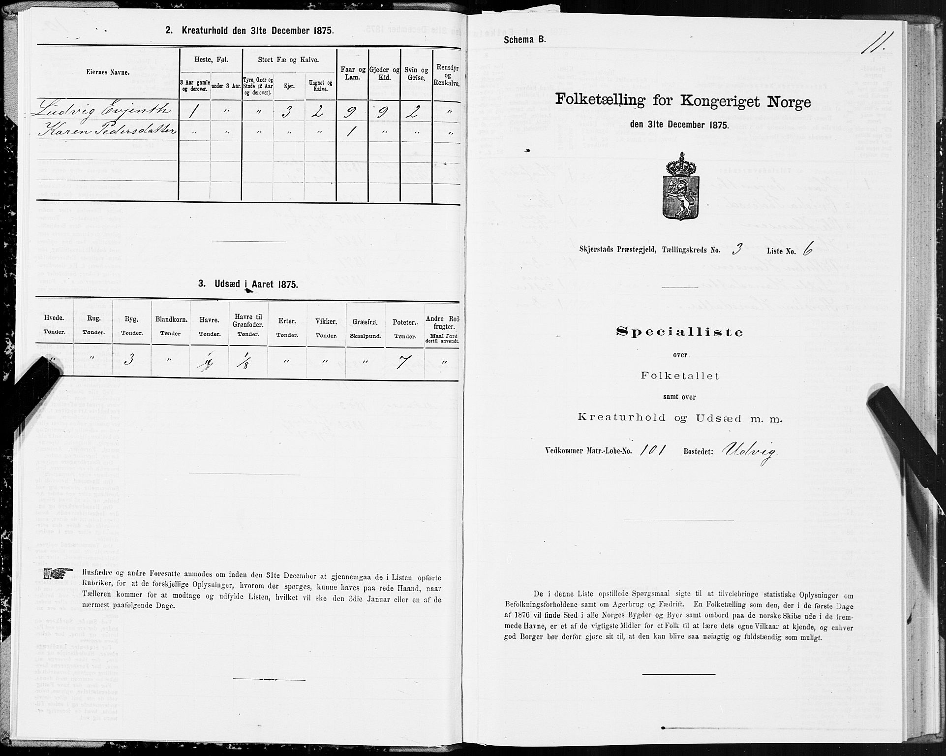 SAT, 1875 census for 1842P Skjerstad, 1875, p. 2011