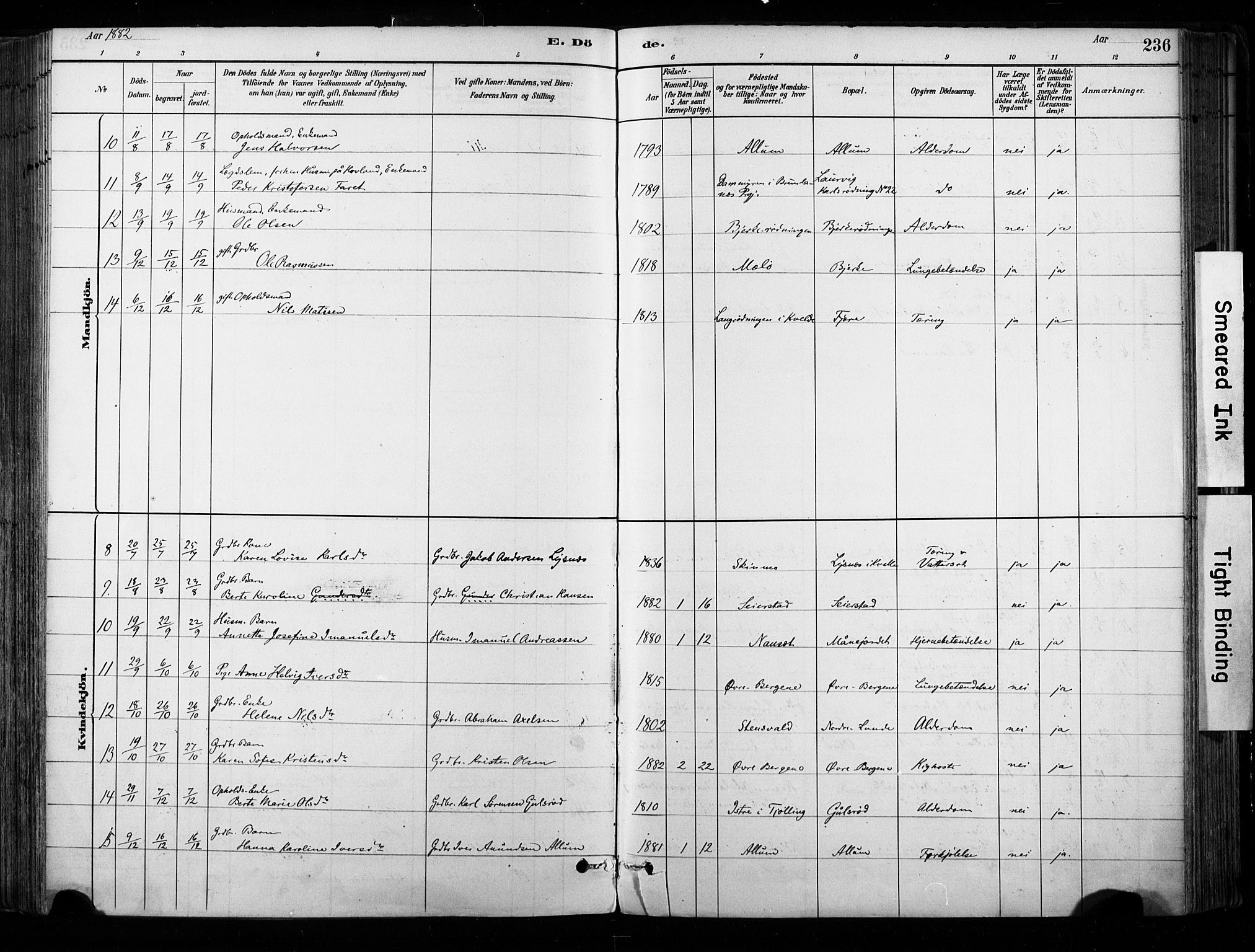 Hedrum kirkebøker, SAKO/A-344/F/Fa/L0009: Parish register (official) no. I 9, 1881-1903, p. 236