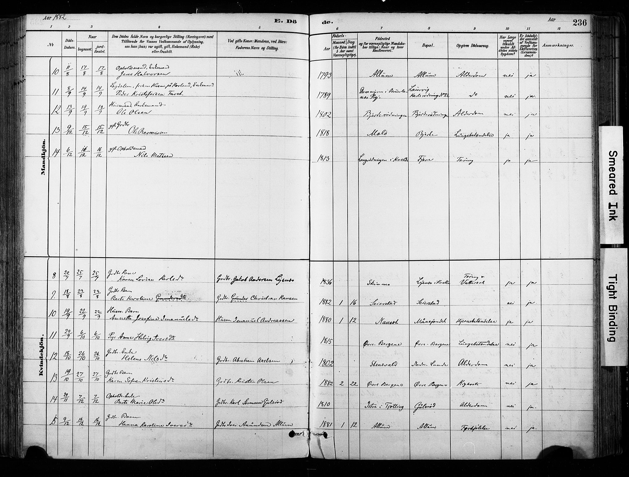 Hedrum kirkebøker, AV/SAKO-A-344/F/Fa/L0009: Parish register (official) no. I 9, 1881-1903, p. 236