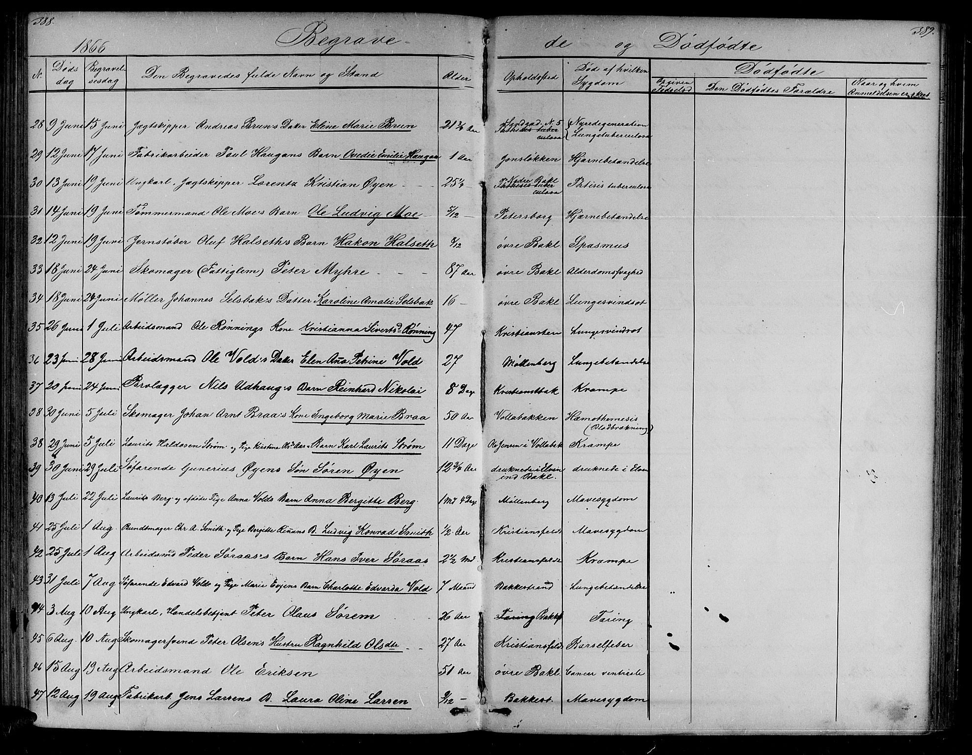 Ministerialprotokoller, klokkerbøker og fødselsregistre - Sør-Trøndelag, SAT/A-1456/604/L0219: Parish register (copy) no. 604C02, 1851-1869, p. 388-389