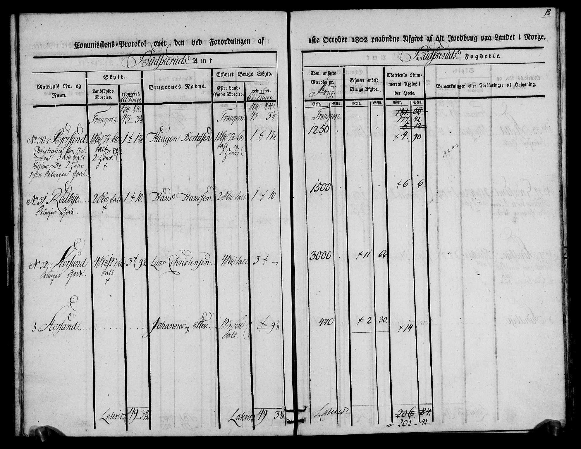 Rentekammeret inntil 1814, Realistisk ordnet avdeling, RA/EA-4070/N/Ne/Nea/L0063: Buskerud fogderi. Kommisjonsprotokoll for Hurum prestegjeld, 1803, p. 12