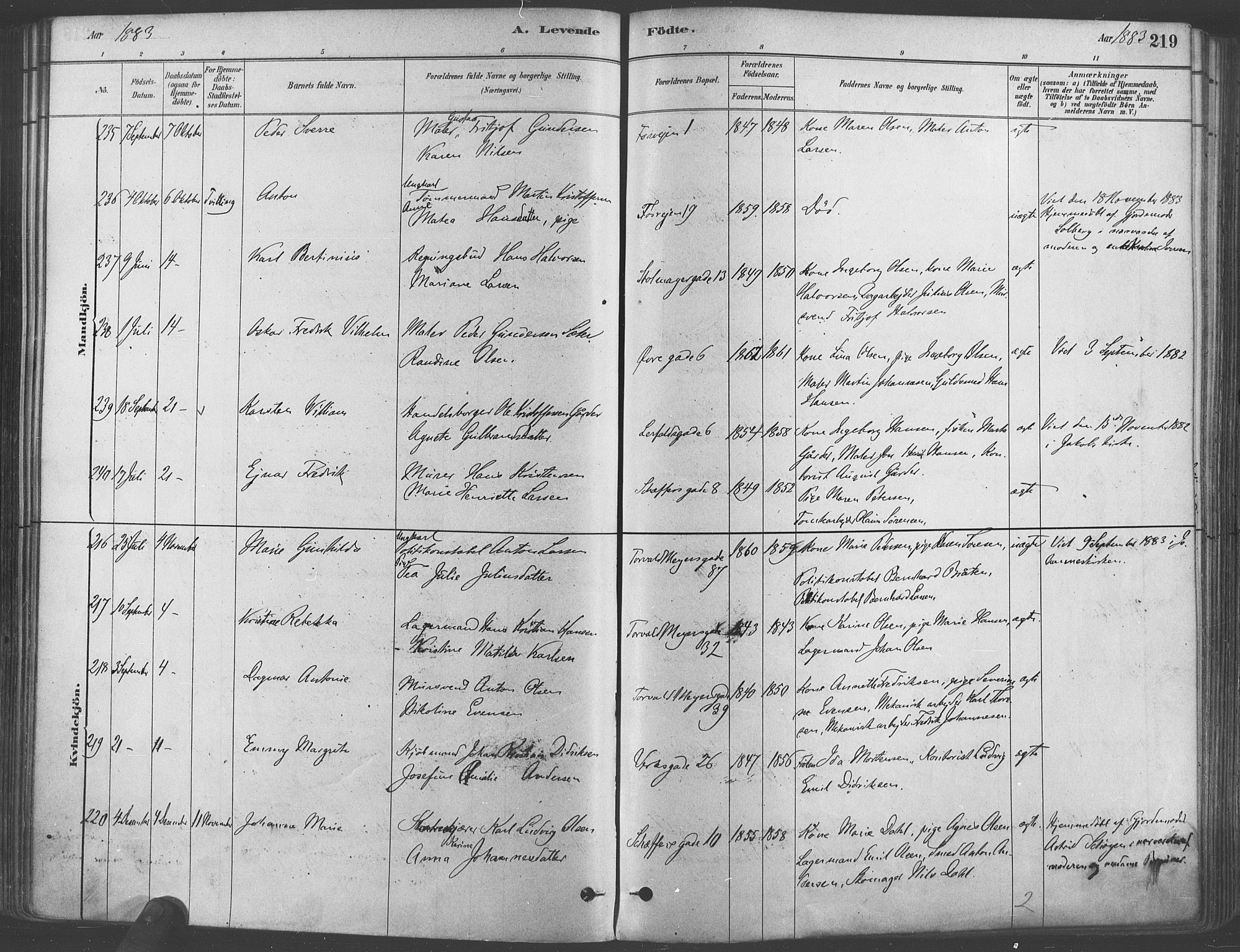 Paulus prestekontor Kirkebøker, AV/SAO-A-10871/F/Fa/L0003: Parish register (official) no. 3, 1879-1887, p. 219