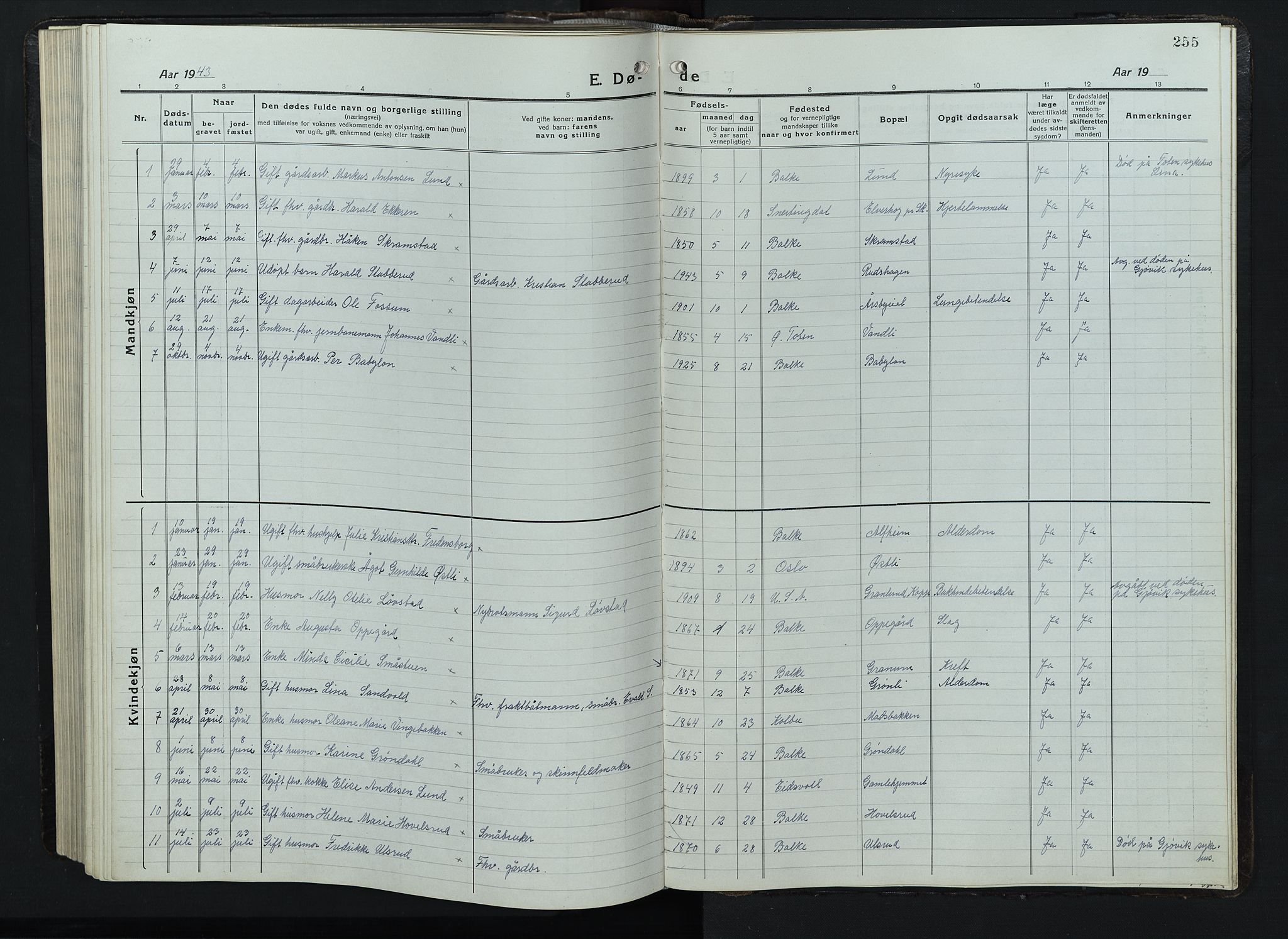 Balke prestekontor, SAH/PREST-106/H/Ha/Hab/L0001: Parish register (copy) no. 1, 1920-1955, p. 255