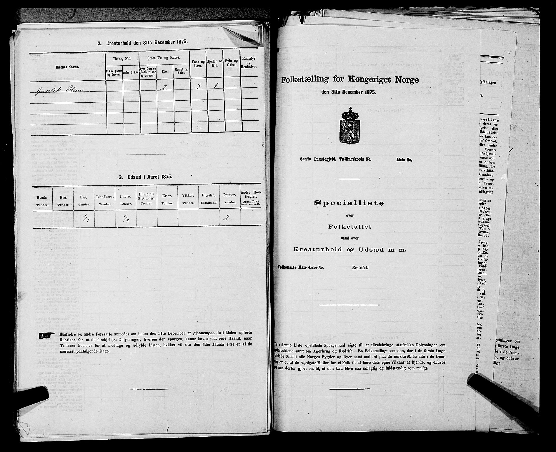 SAKO, 1875 census for 0821P Bø, 1875, p. 132