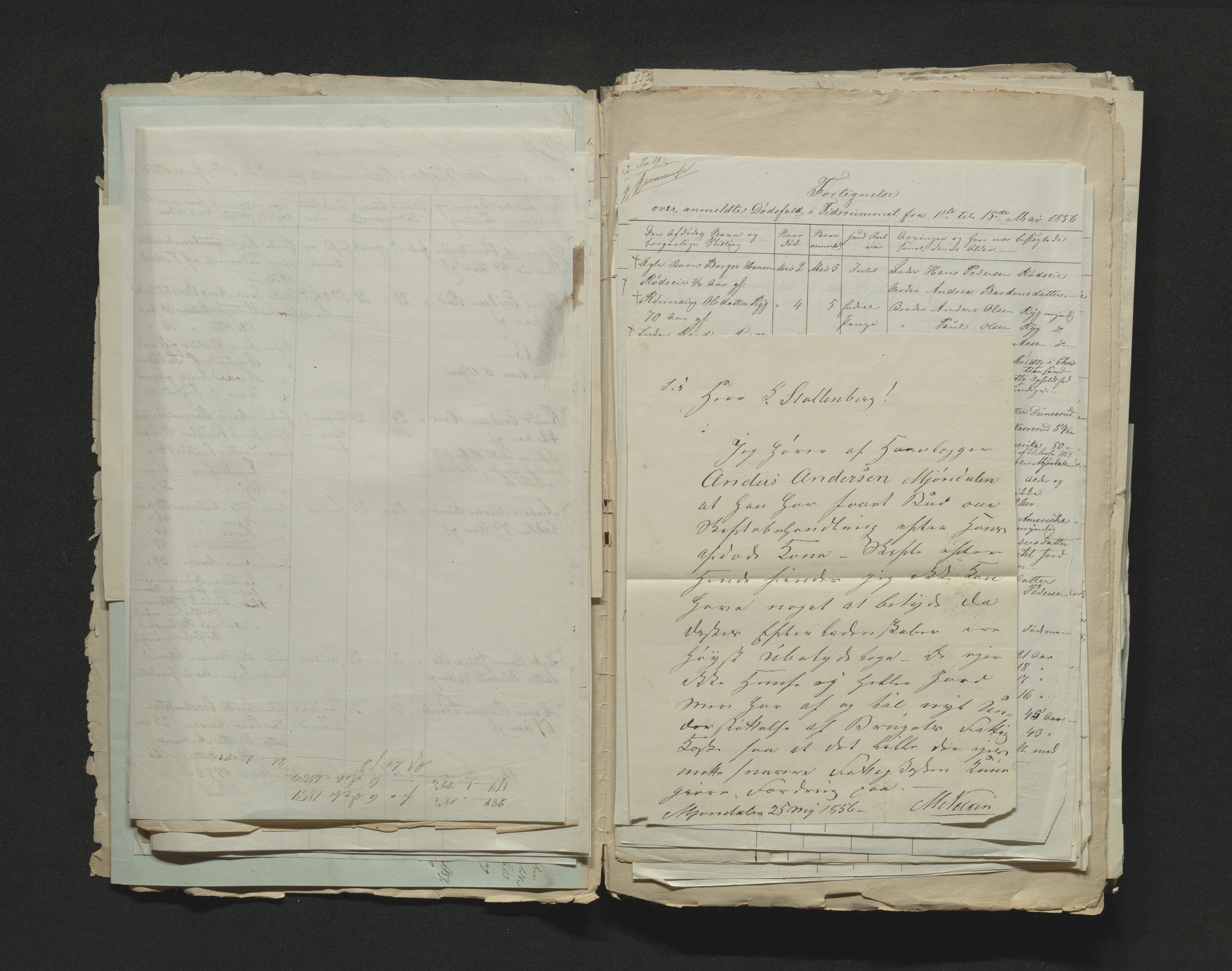 Eiker, Modum og Sigdal sorenskriveri, AV/SAKO-A-123/H/Ha/Hab/L0009: Dødsfallsmeldinger, 1854-1857, p. 279