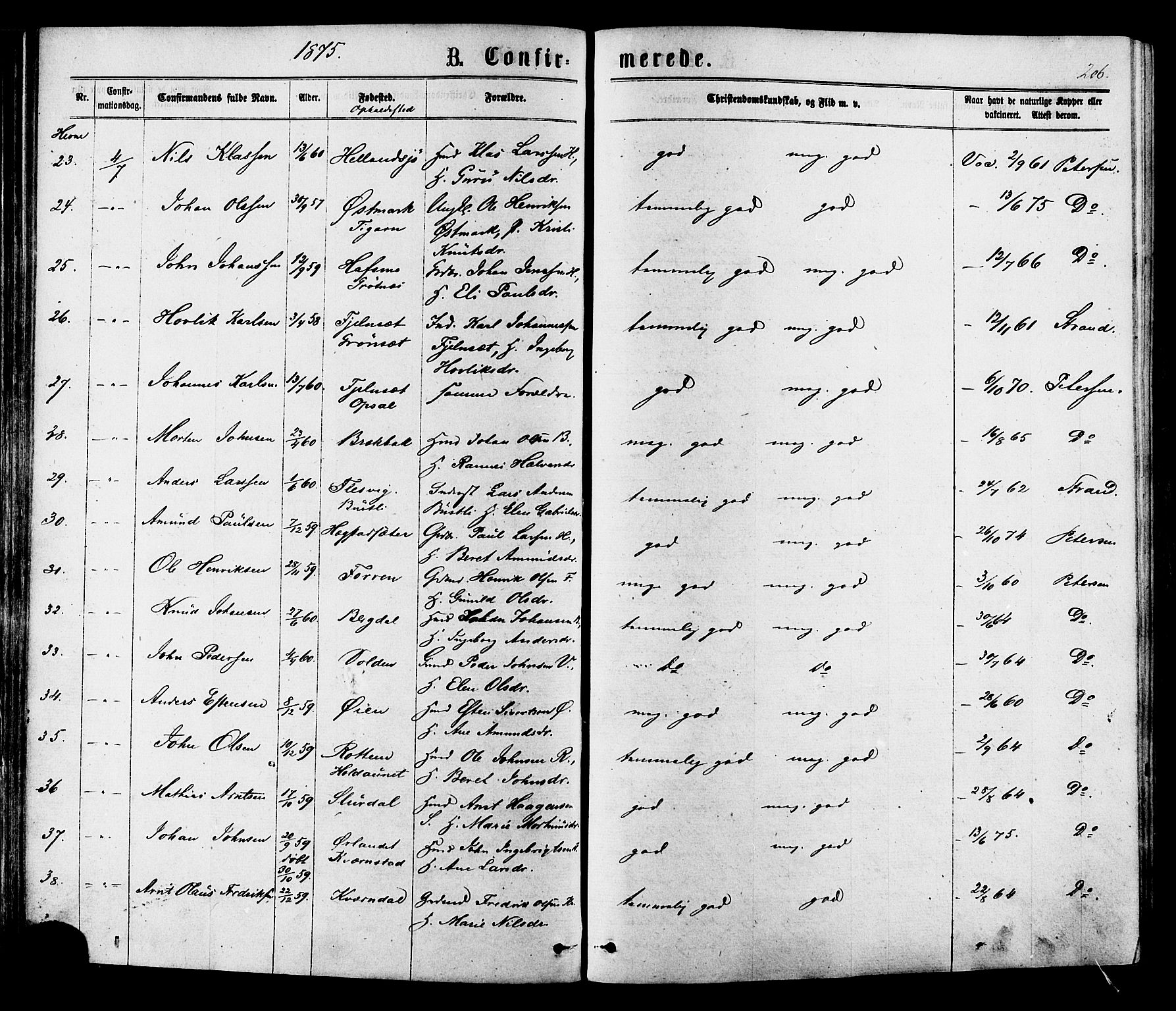 Ministerialprotokoller, klokkerbøker og fødselsregistre - Sør-Trøndelag, AV/SAT-A-1456/630/L0495: Parish register (official) no. 630A08, 1868-1878, p. 206