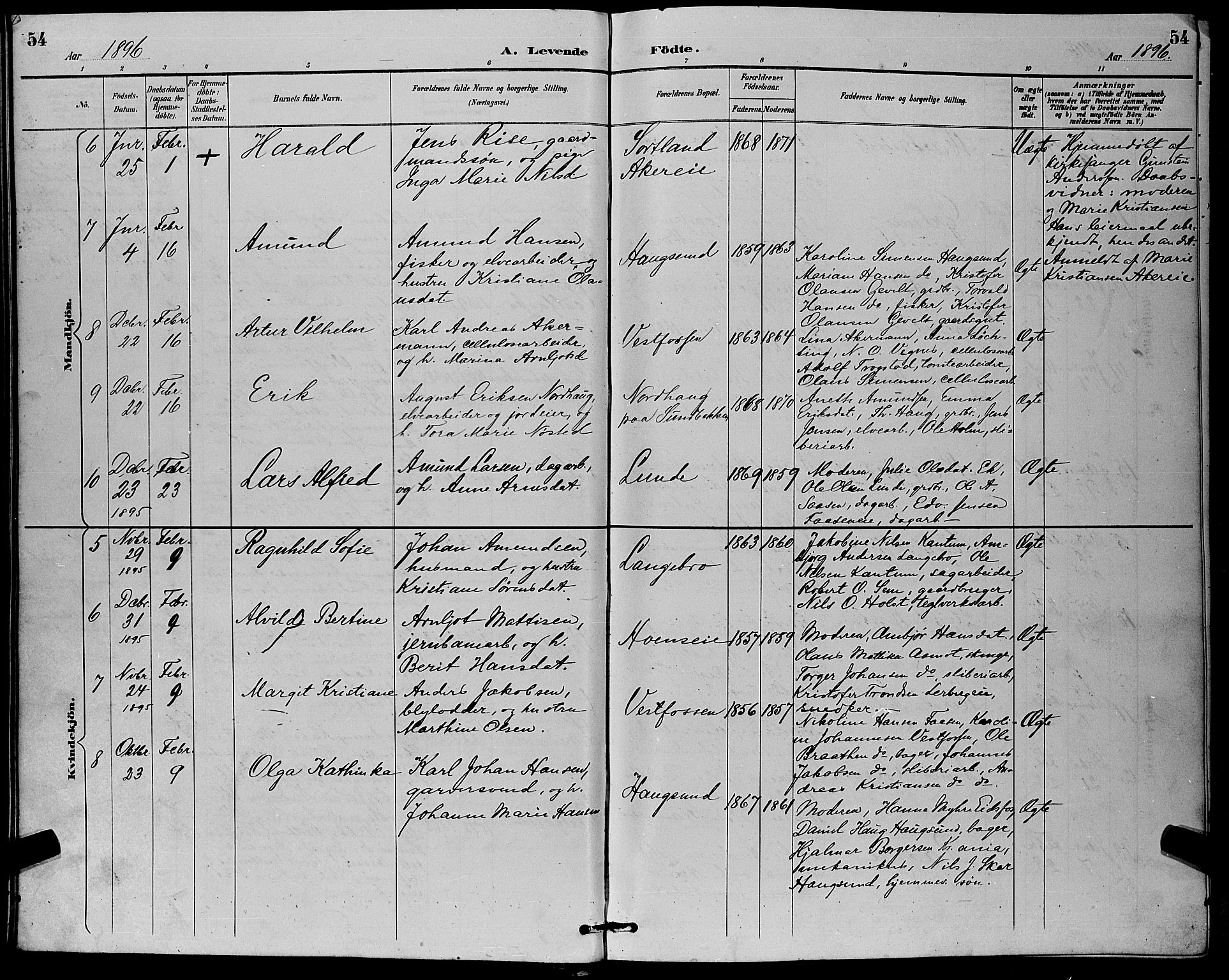 Eiker kirkebøker, SAKO/A-4/G/Ga/L0007: Parish register (copy) no. I 7, 1893-1902, p. 54