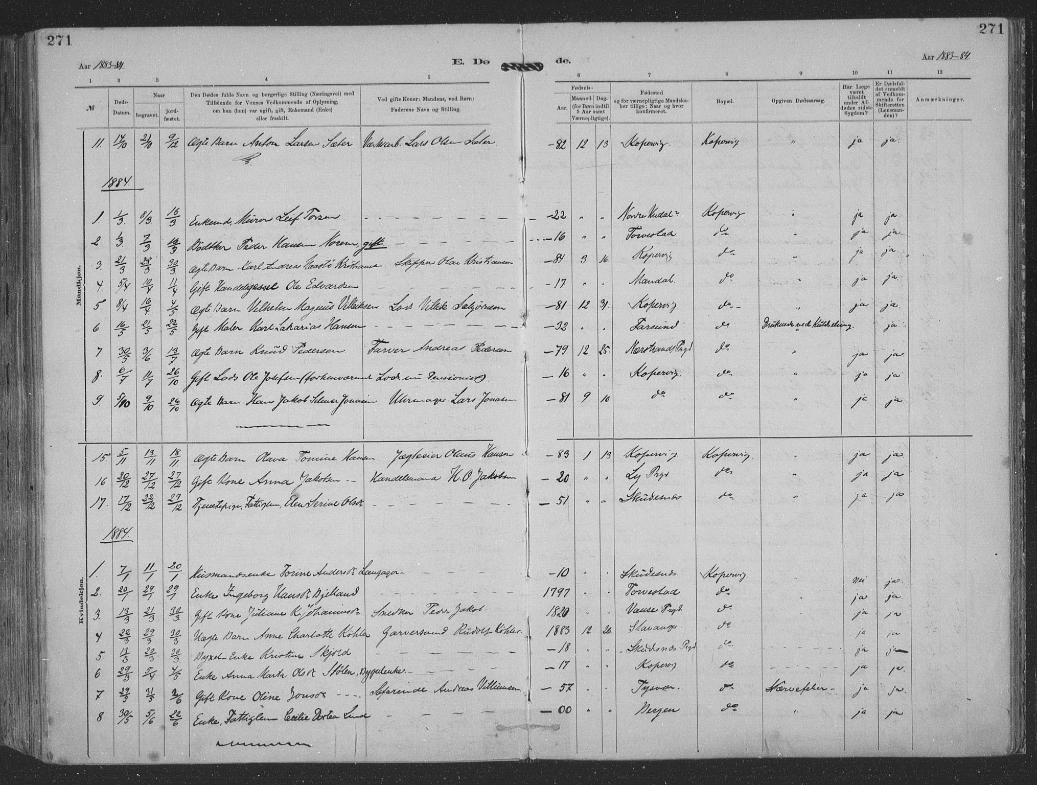 Kopervik sokneprestkontor, SAST/A-101850/H/Ha/Haa/L0001: Parish register (official) no. A 1, 1880-1919, p. 271