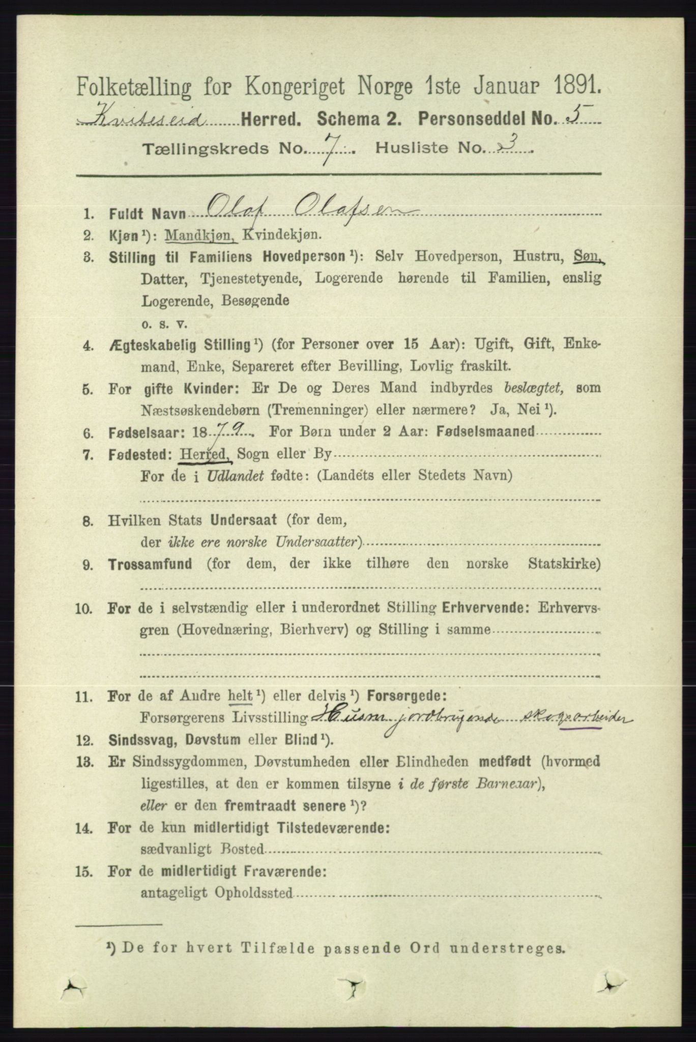 RA, 1891 census for 0829 Kviteseid, 1891, p. 1381