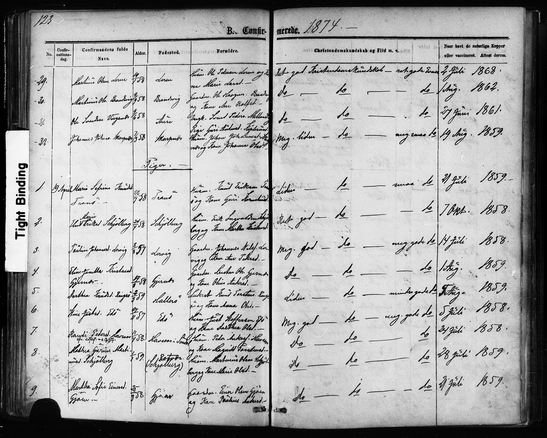 Ministerialprotokoller, klokkerbøker og fødselsregistre - Møre og Romsdal, AV/SAT-A-1454/581/L0938: Parish register (official) no. 581A06, 1873-1879, p. 123