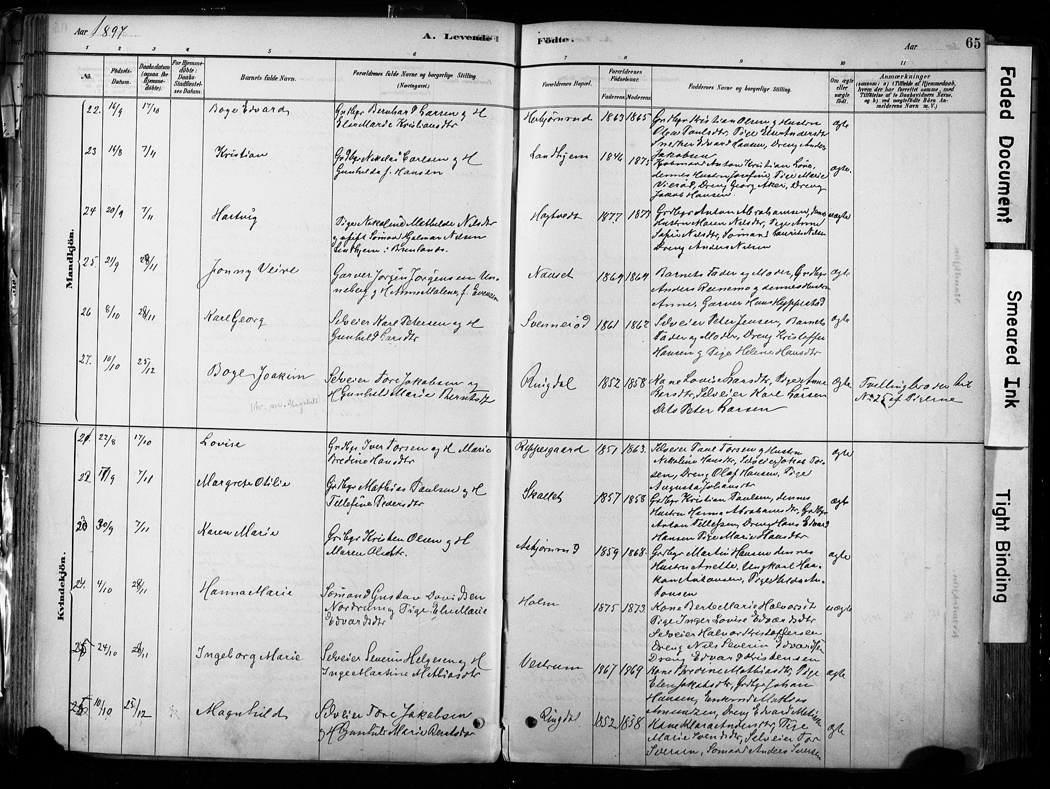 Hedrum kirkebøker, AV/SAKO-A-344/F/Fa/L0009: Parish register (official) no. I 9, 1881-1903, p. 65