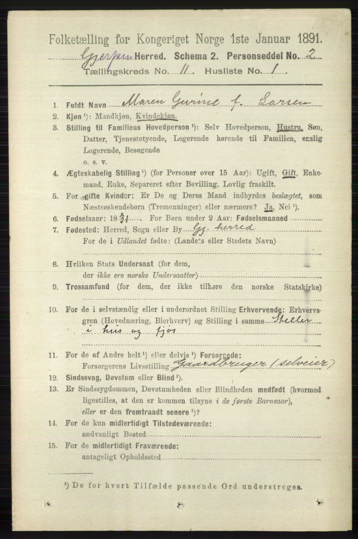 RA, 1891 census for 0812 Gjerpen, 1891, p. 6540