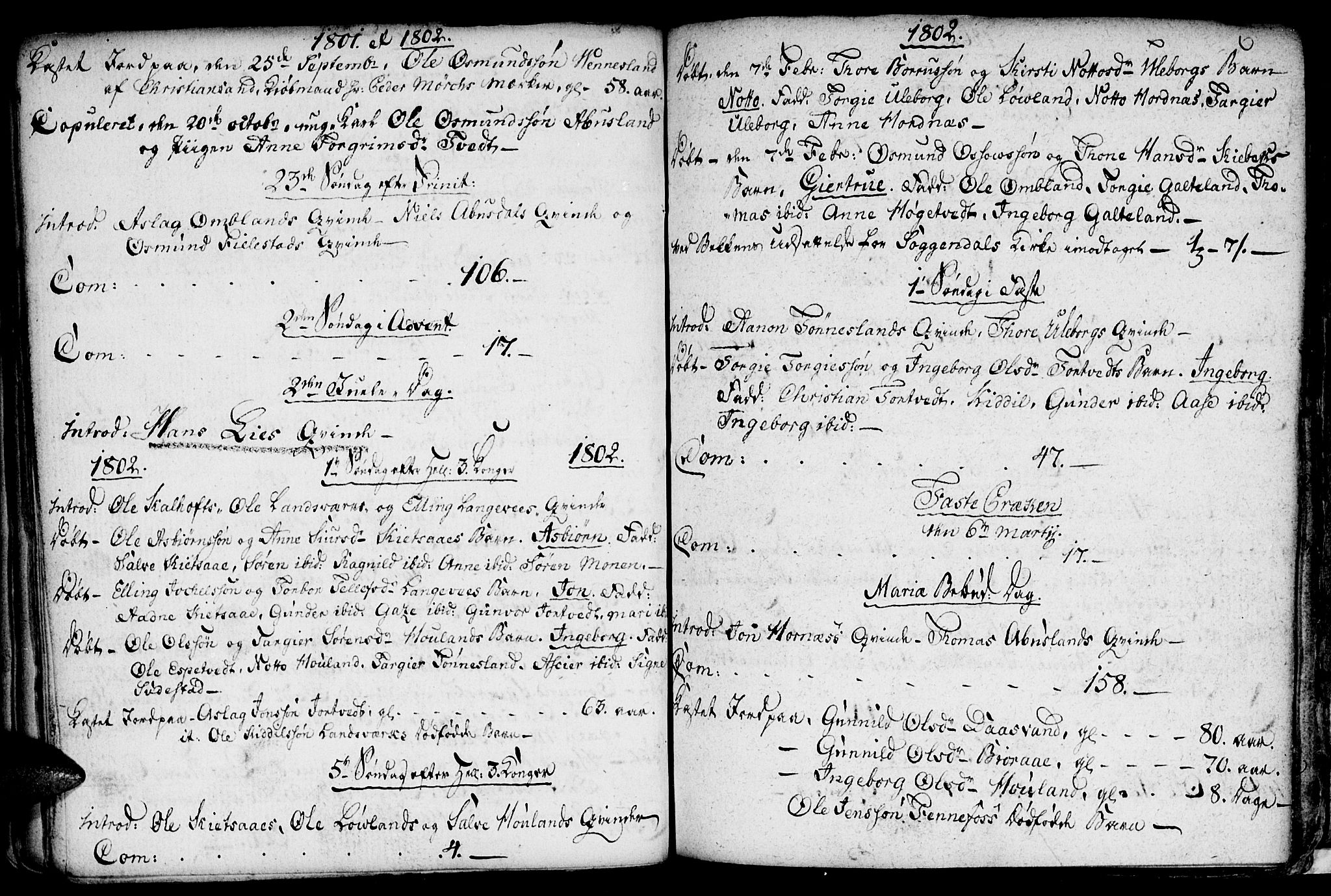 Evje sokneprestkontor, SAK/1111-0008/F/Fa/Fab/L0002: Parish register (official) no. A 2, 1765-1816, p. 99