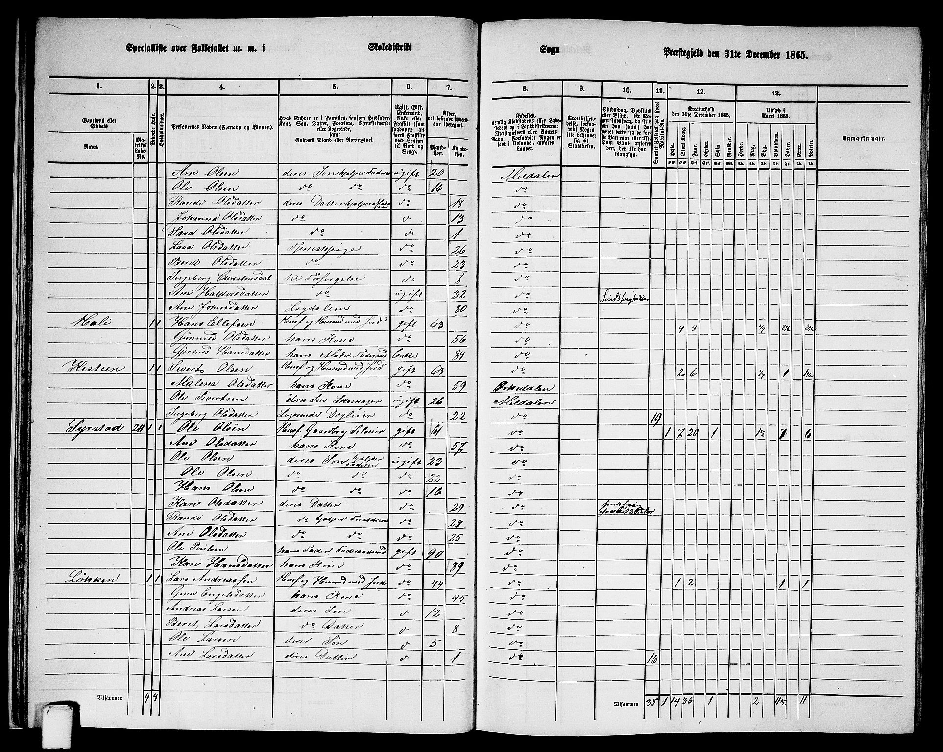 RA, 1865 census for Meldal, 1865, p. 31