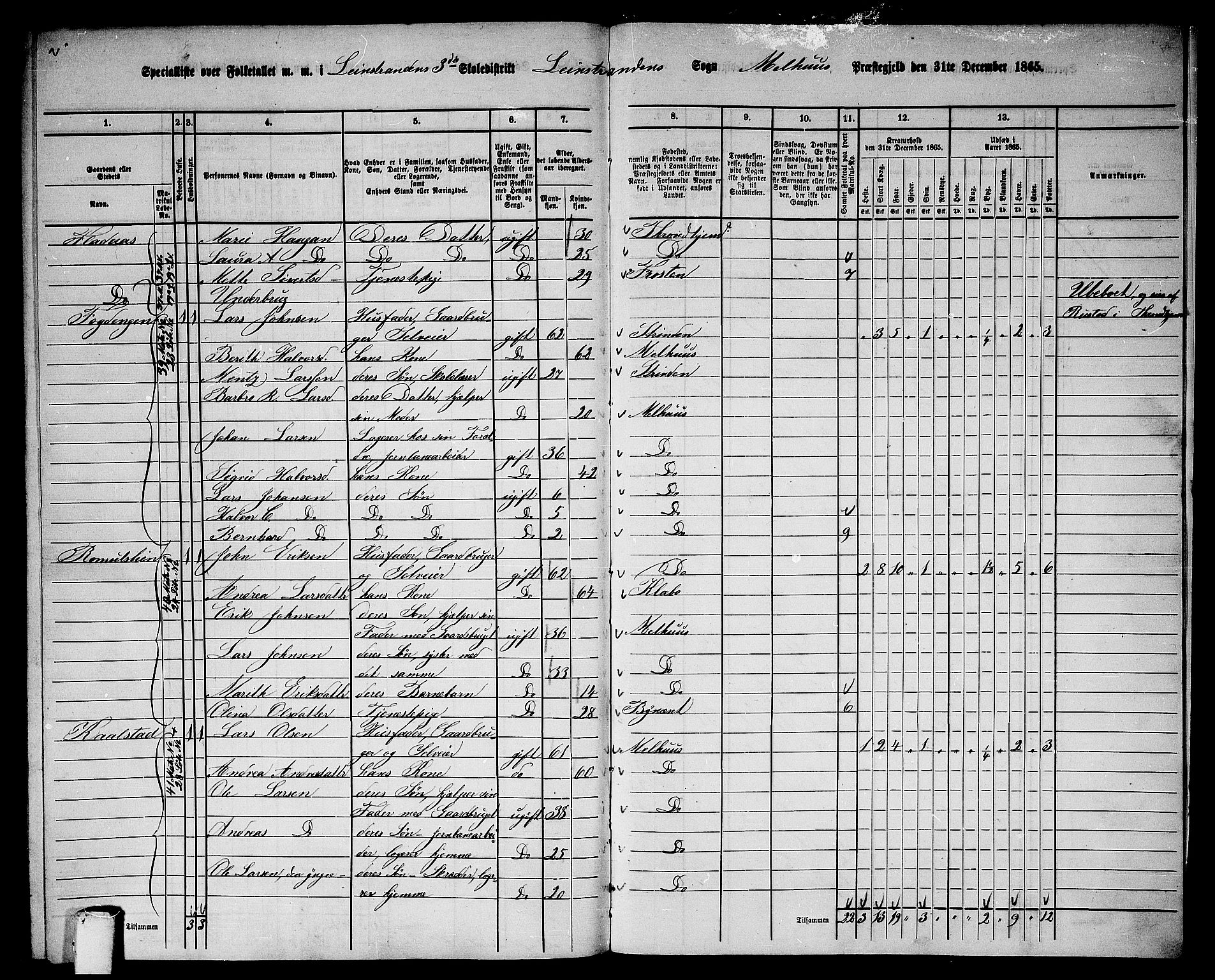 RA, 1865 census for Melhus, 1865, p. 247