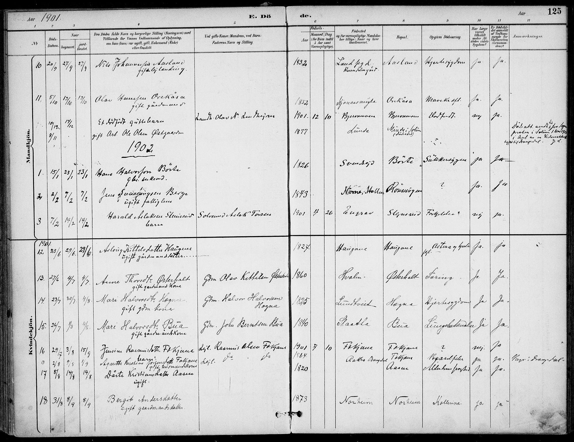 Lunde kirkebøker, AV/SAKO-A-282/F/Fa/L0003: Parish register (official) no. I 3, 1893-1902, p. 125