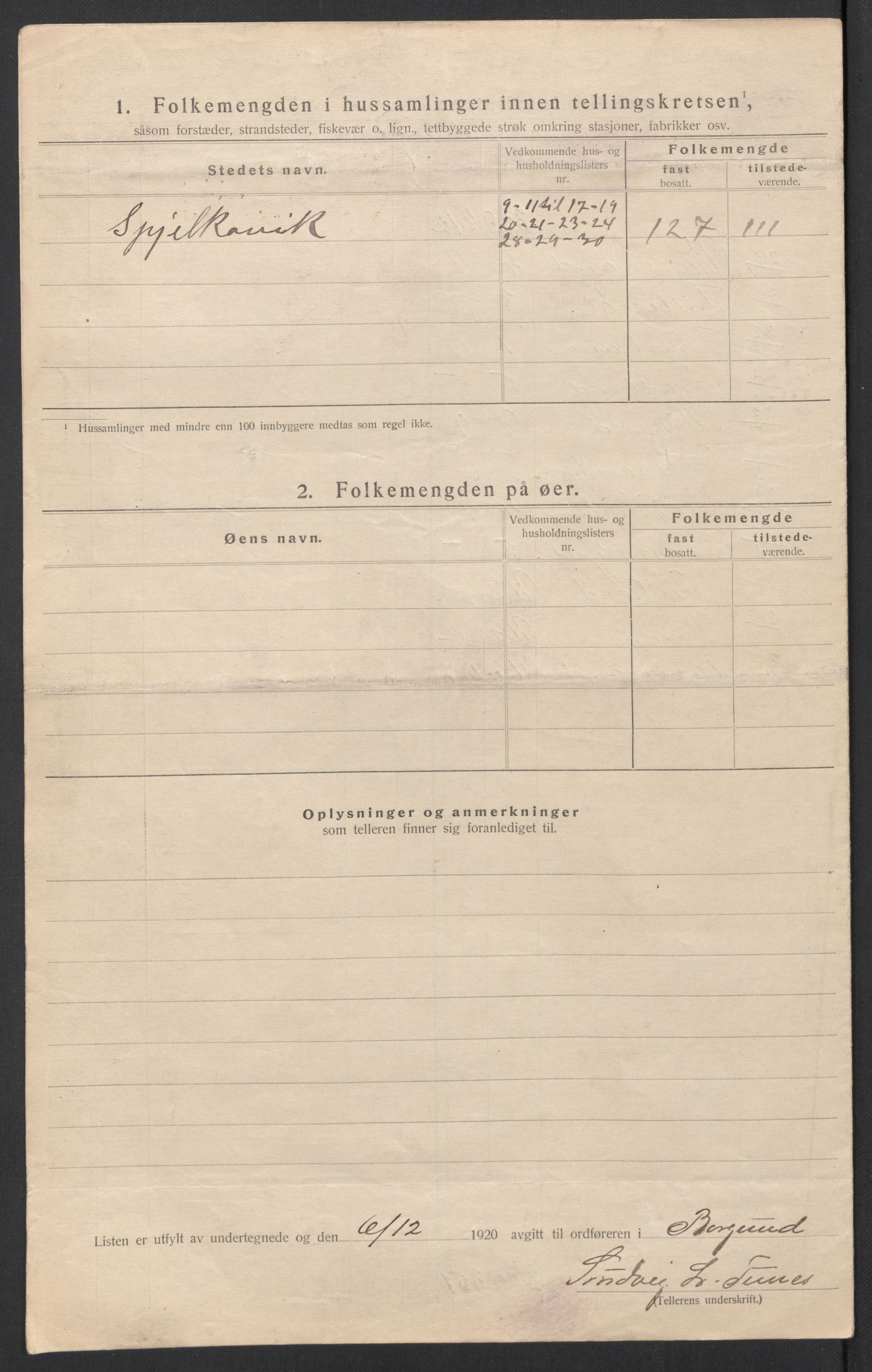 SAT, 1920 census for Borgund, 1920, p. 19