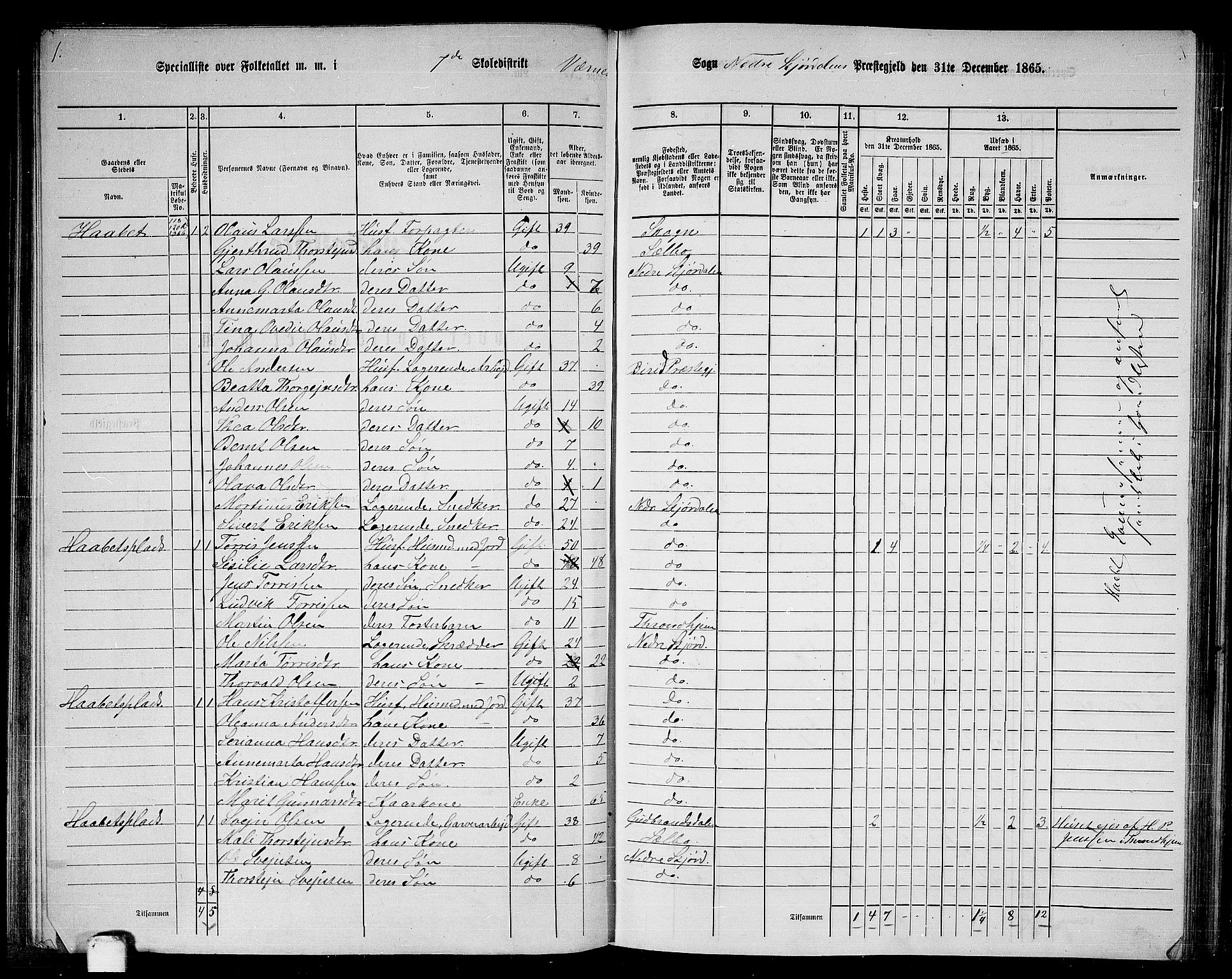 RA, 1865 census for Nedre Stjørdal, 1865, p. 127