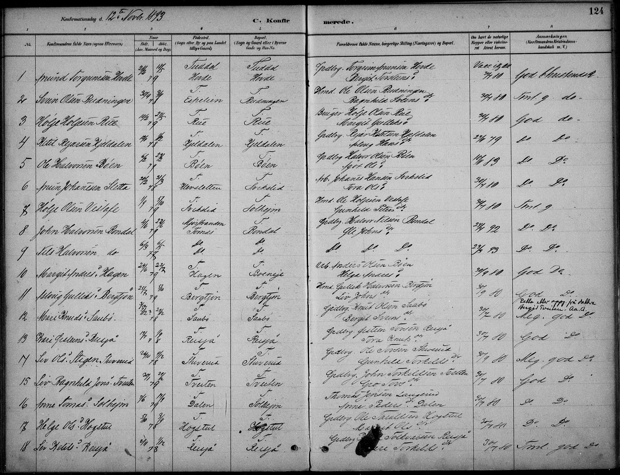 Hjartdal kirkebøker, AV/SAKO-A-270/F/Fc/L0002: Parish register (official) no. III 2, 1880-1936, p. 124