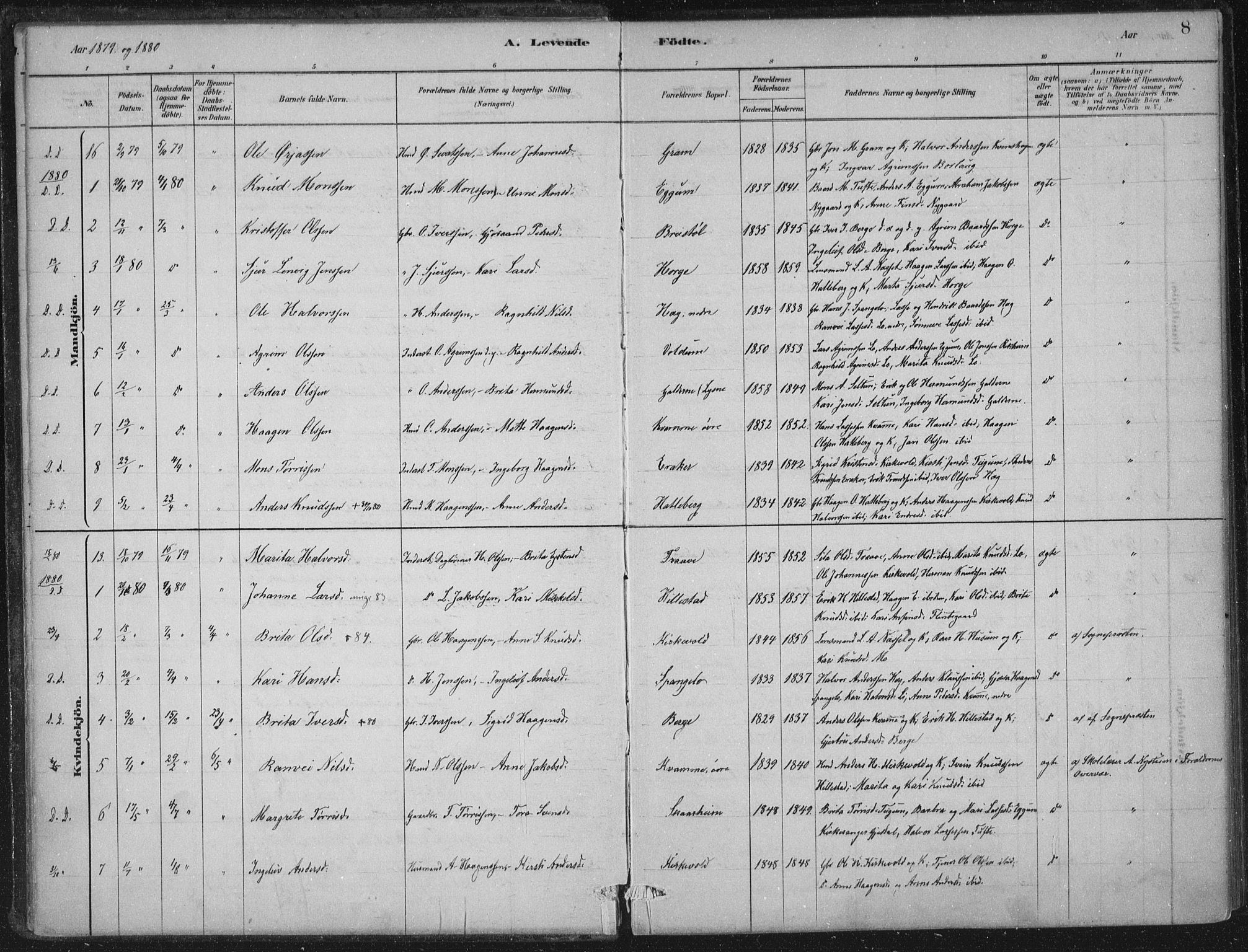 Lærdal sokneprestembete, AV/SAB-A-81201: Parish register (official) no. C  1, 1878-1911, p. 8