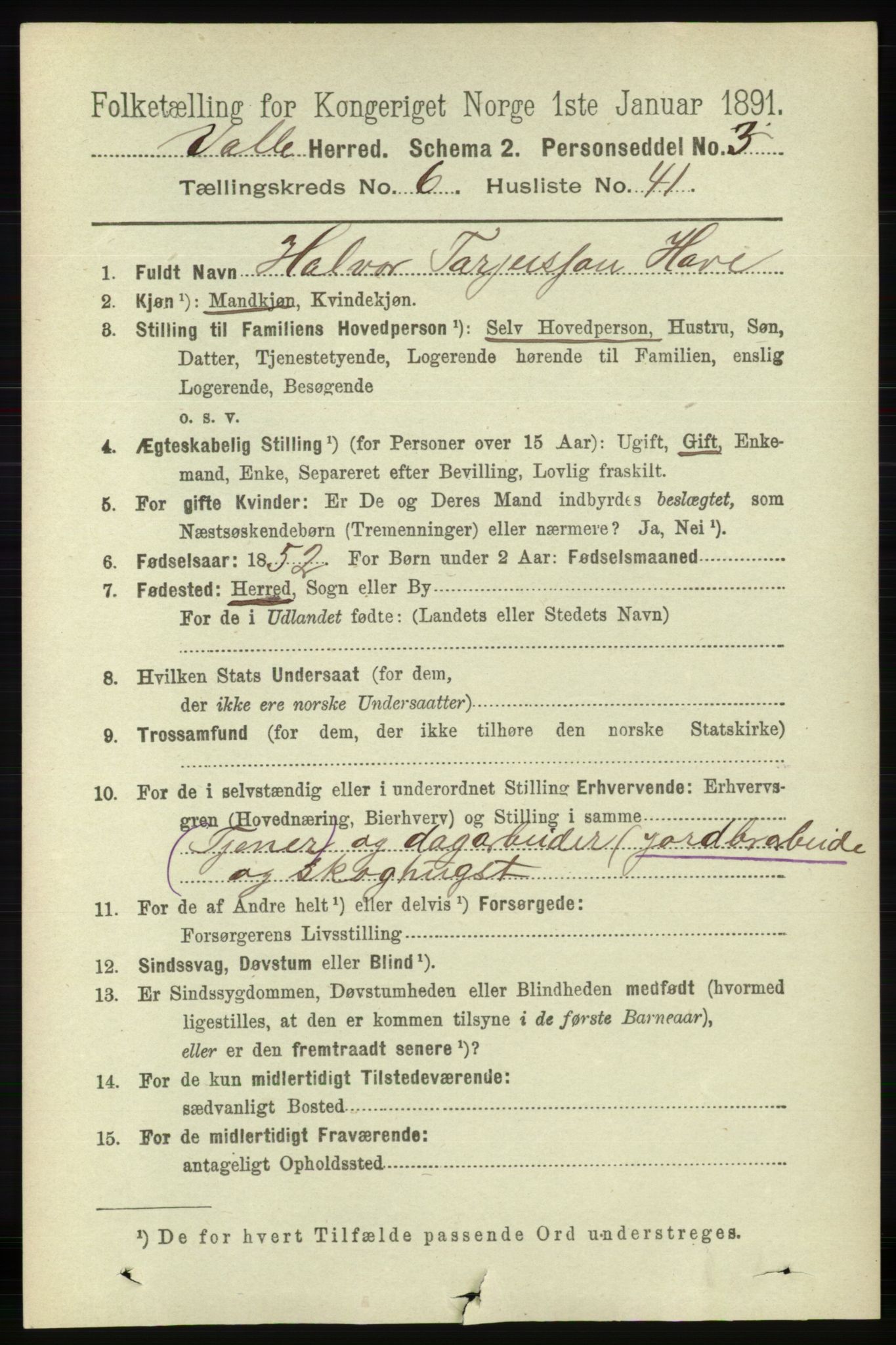 RA, 1891 census for 0940 Valle, 1891, p. 1916