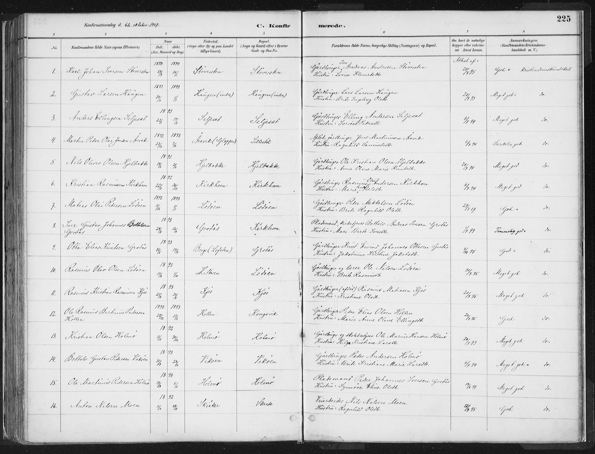 Hornindal sokneprestembete, AV/SAB-A-82401/H/Haa/Haaa/L0003/0001: Parish register (official) no. A 3A, 1887-1917, p. 225