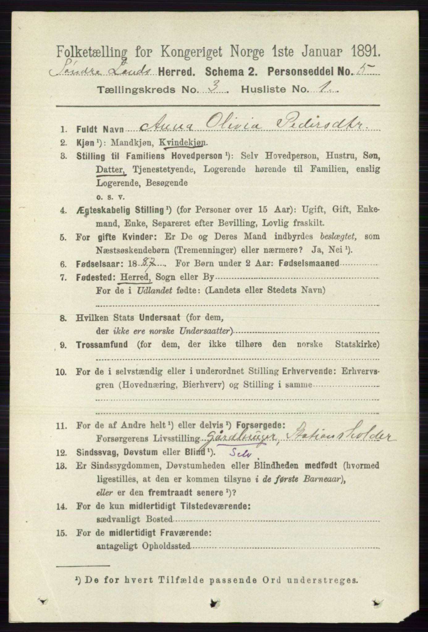 RA, 1891 census for 0536 Søndre Land, 1891, p. 2503