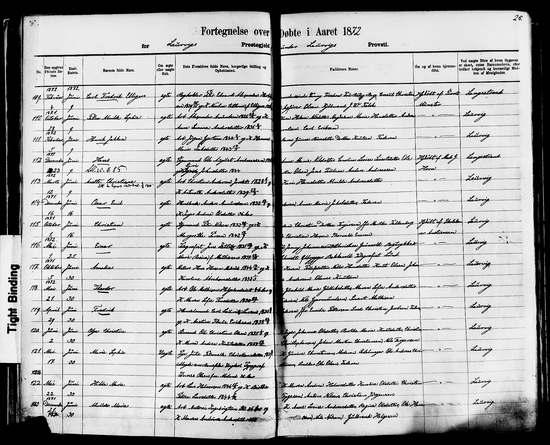 Larvik kirkebøker, AV/SAKO-A-352/F/Fa/L0006: Parish register (official) no. I 6, 1871-1883, p. 25