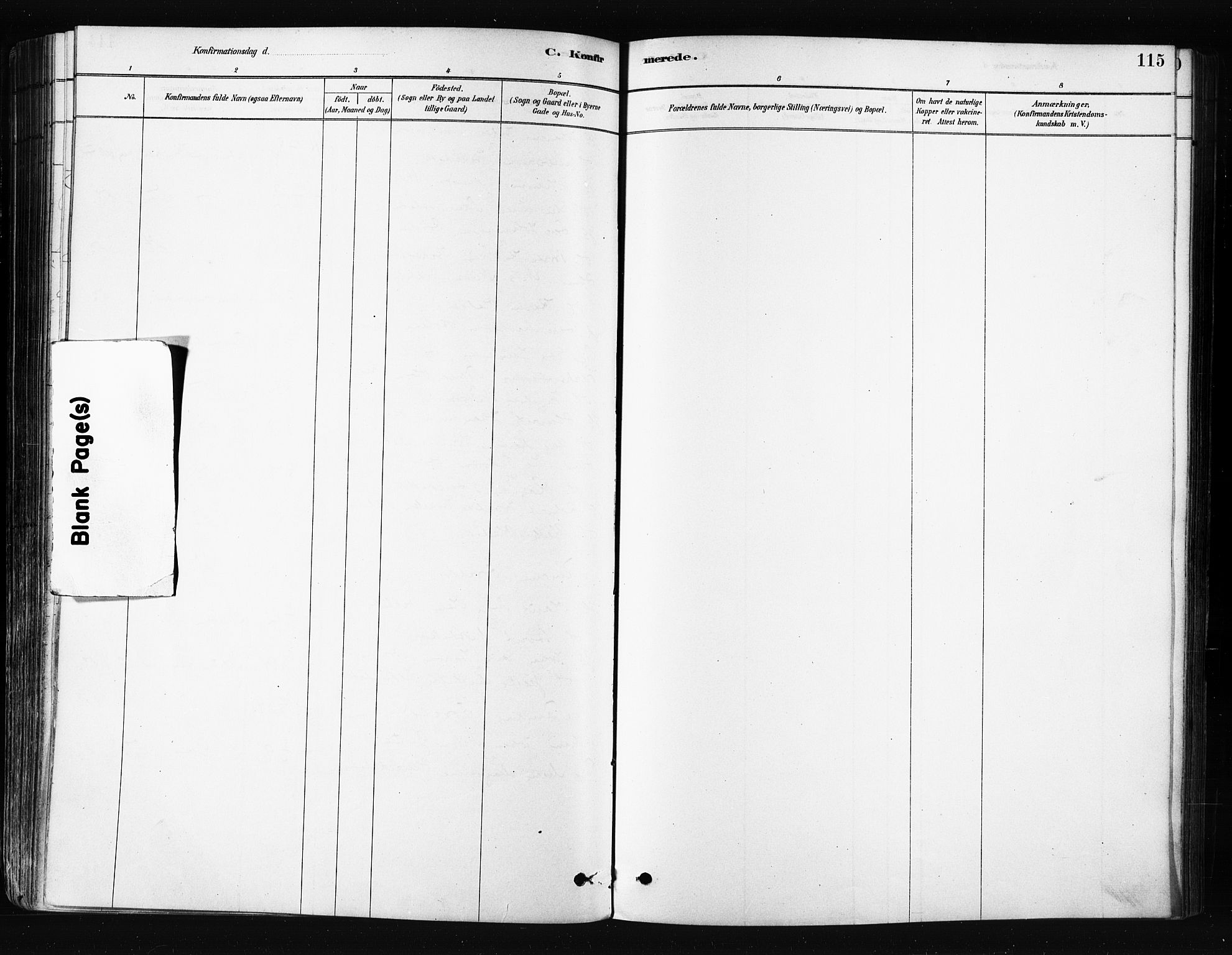 Skjervøy sokneprestkontor, AV/SATØ-S-1300/H/Ha/Haa/L0014kirke: Parish register (official) no. 14, 1878-1894, p. 115