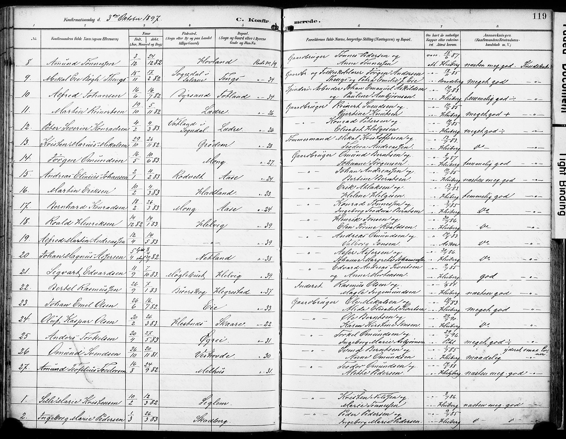 Eigersund sokneprestkontor, AV/SAST-A-101807/S08/L0018: Parish register (official) no. A 17, 1892-1905, p. 119