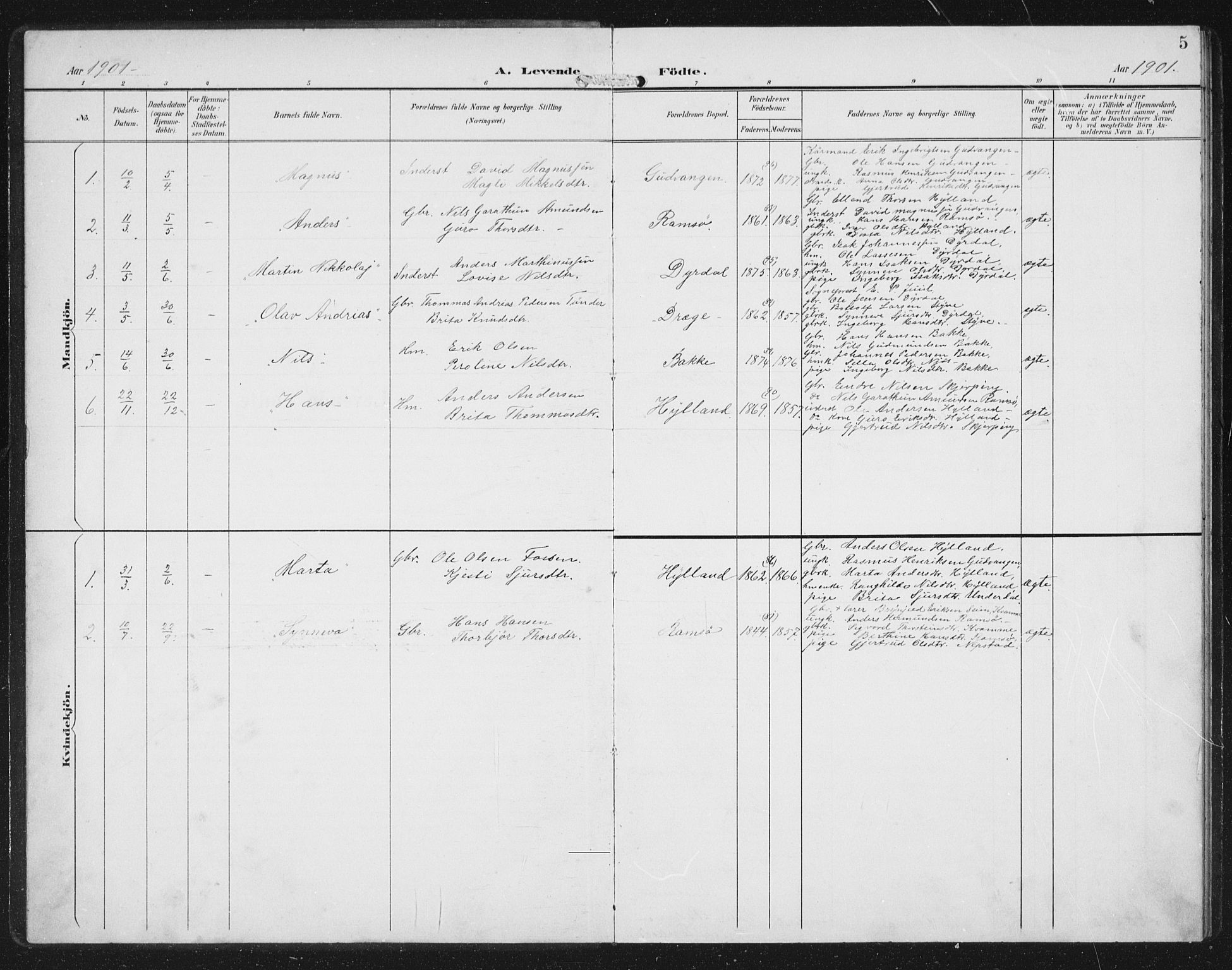 Aurland sokneprestembete, SAB/A-99937/H/Hb/Hbc/L0003: Parish register (copy) no. C 3, 1901-1933, p. 5